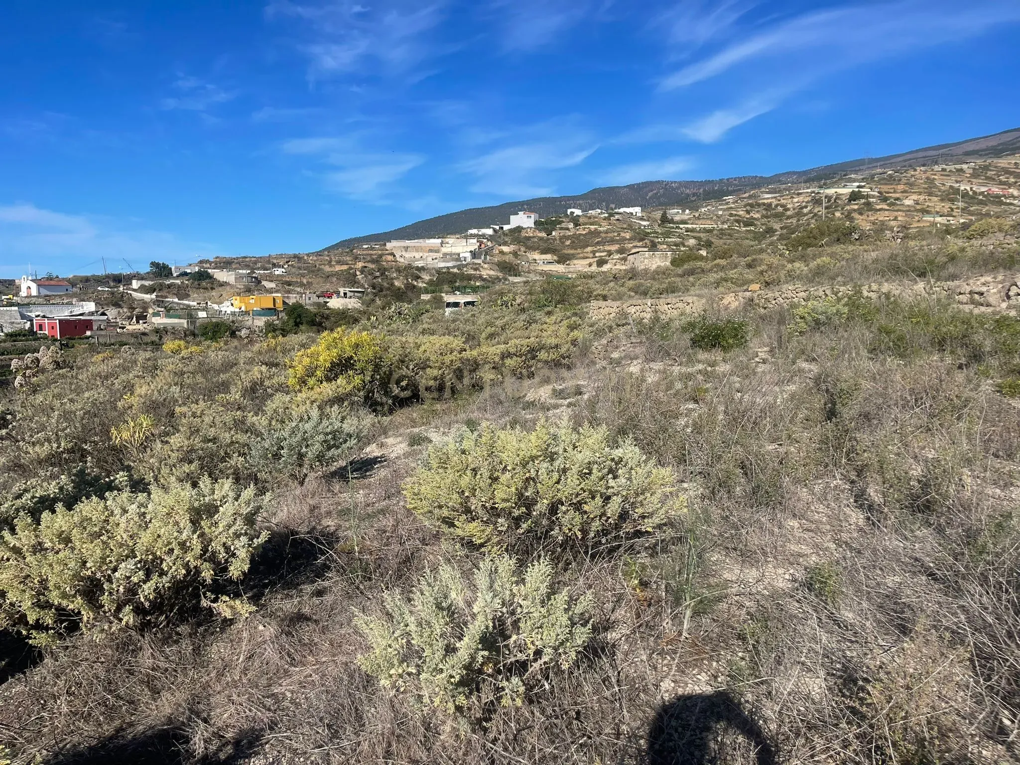 undefined - Image 19