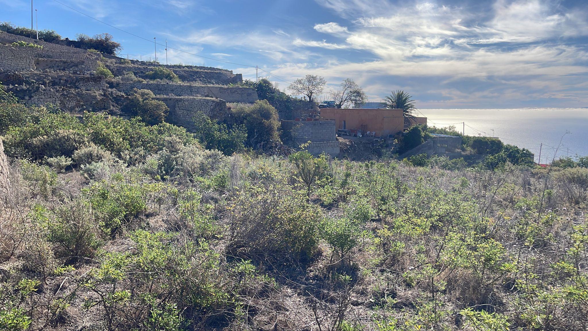 undefined - Image 6