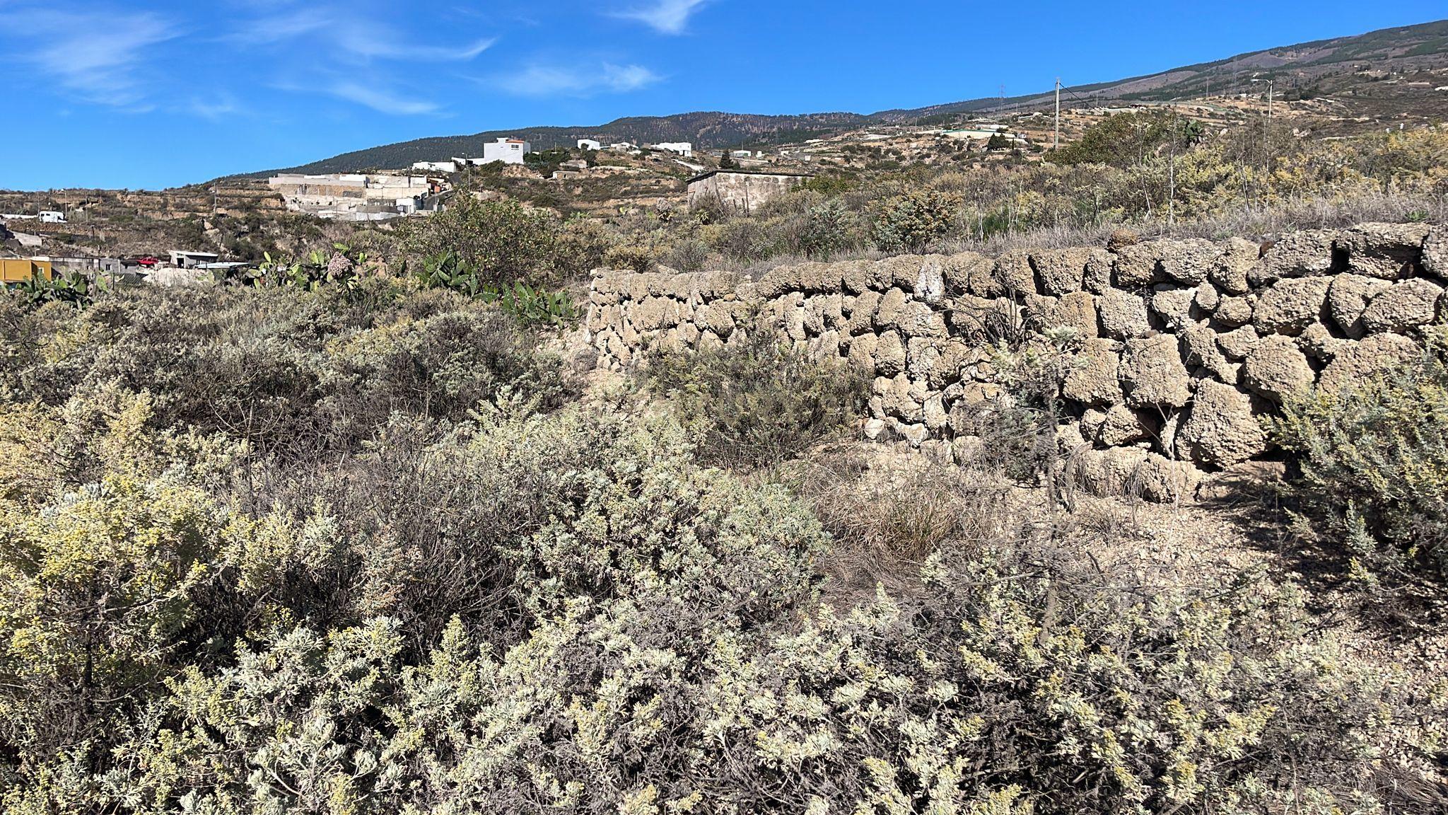 undefined - Image 11