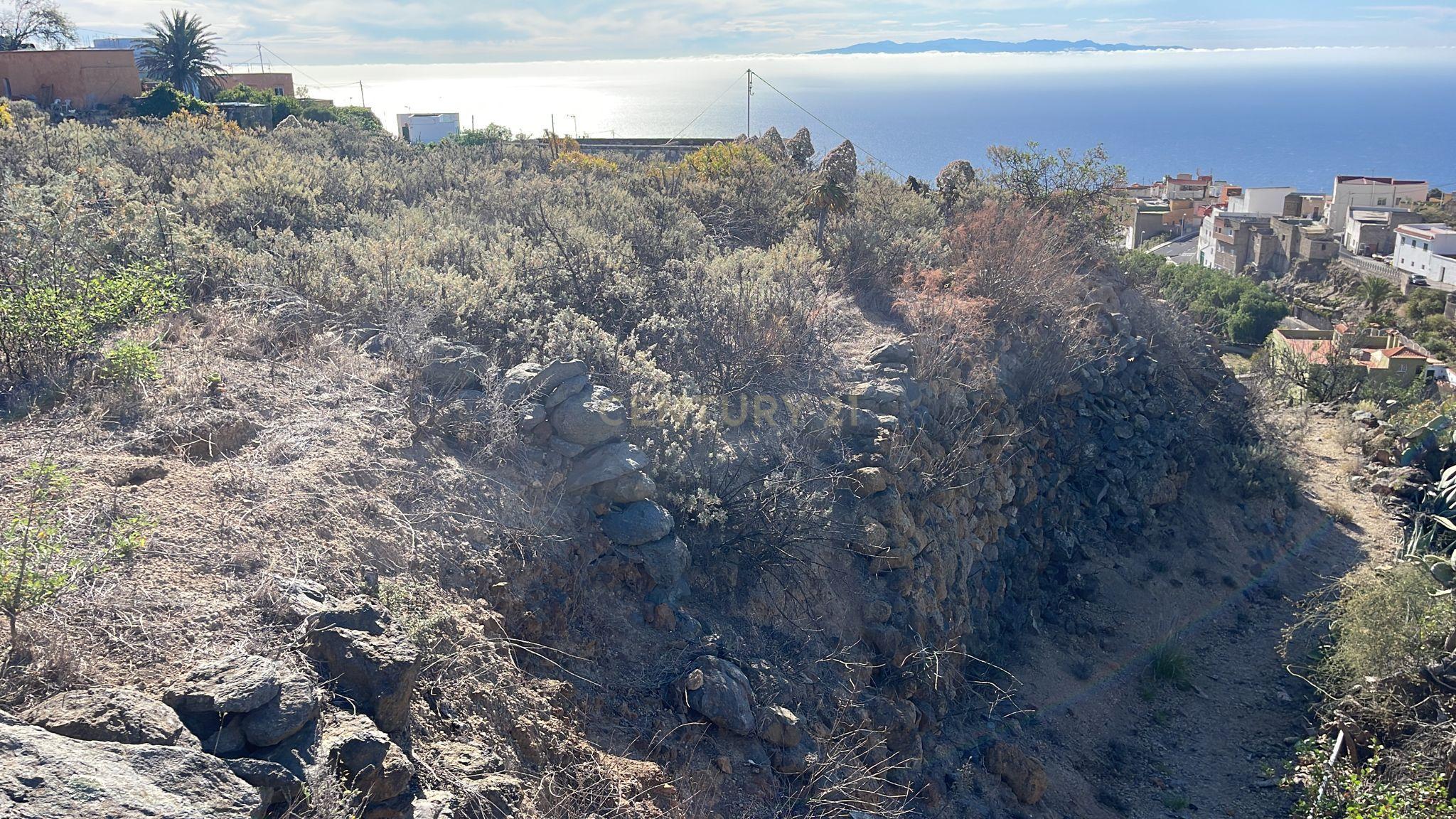 undefined - Image 13