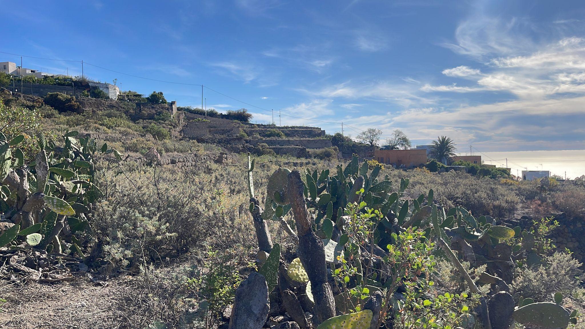 undefined - Image 14