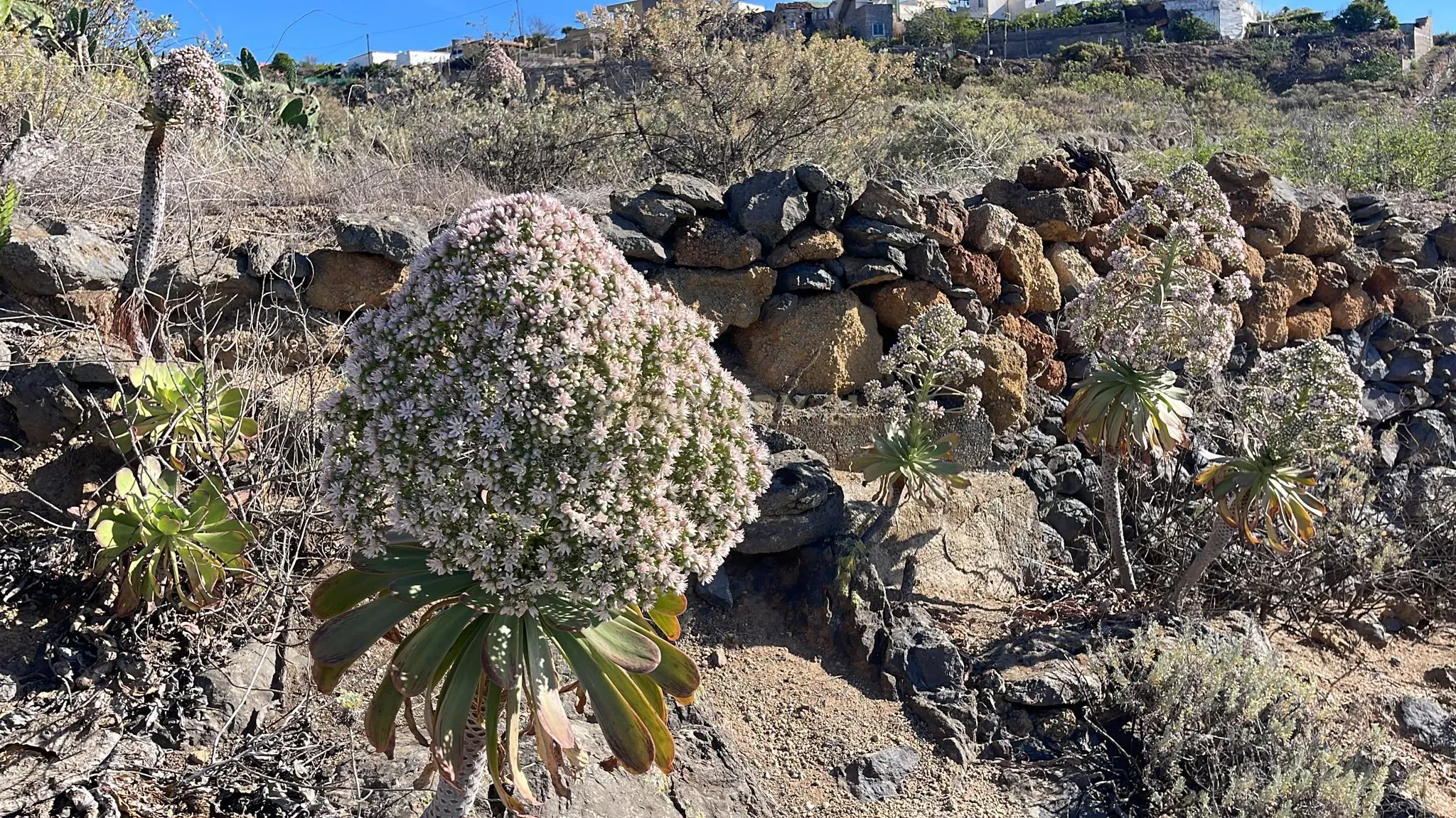 undefined - Image 12