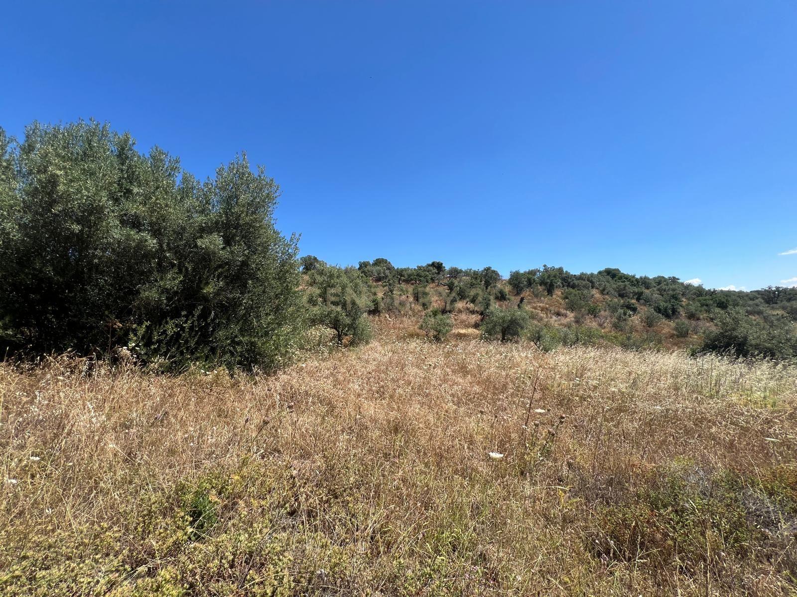 undefined - Image 2