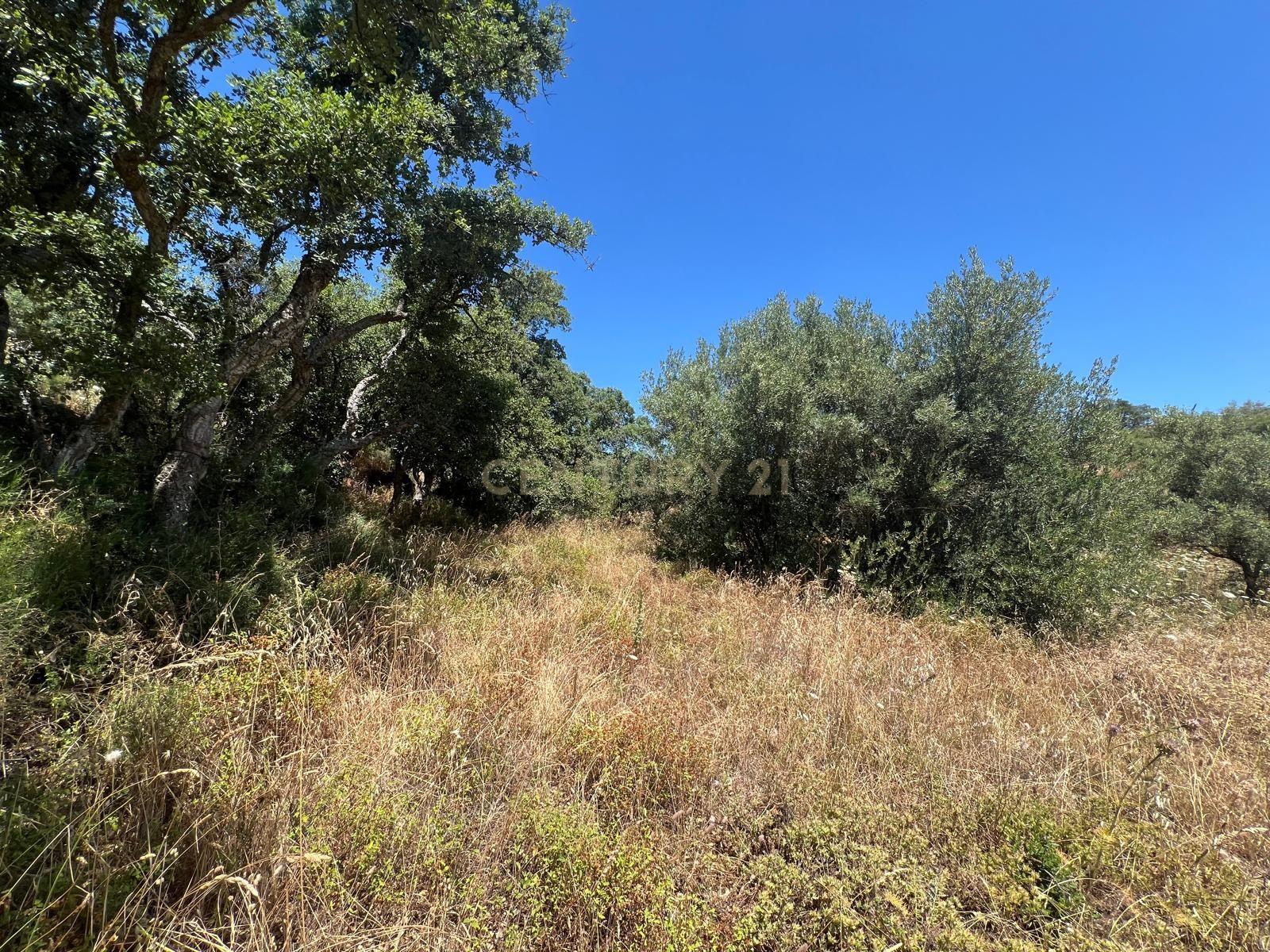 undefined - Image 5