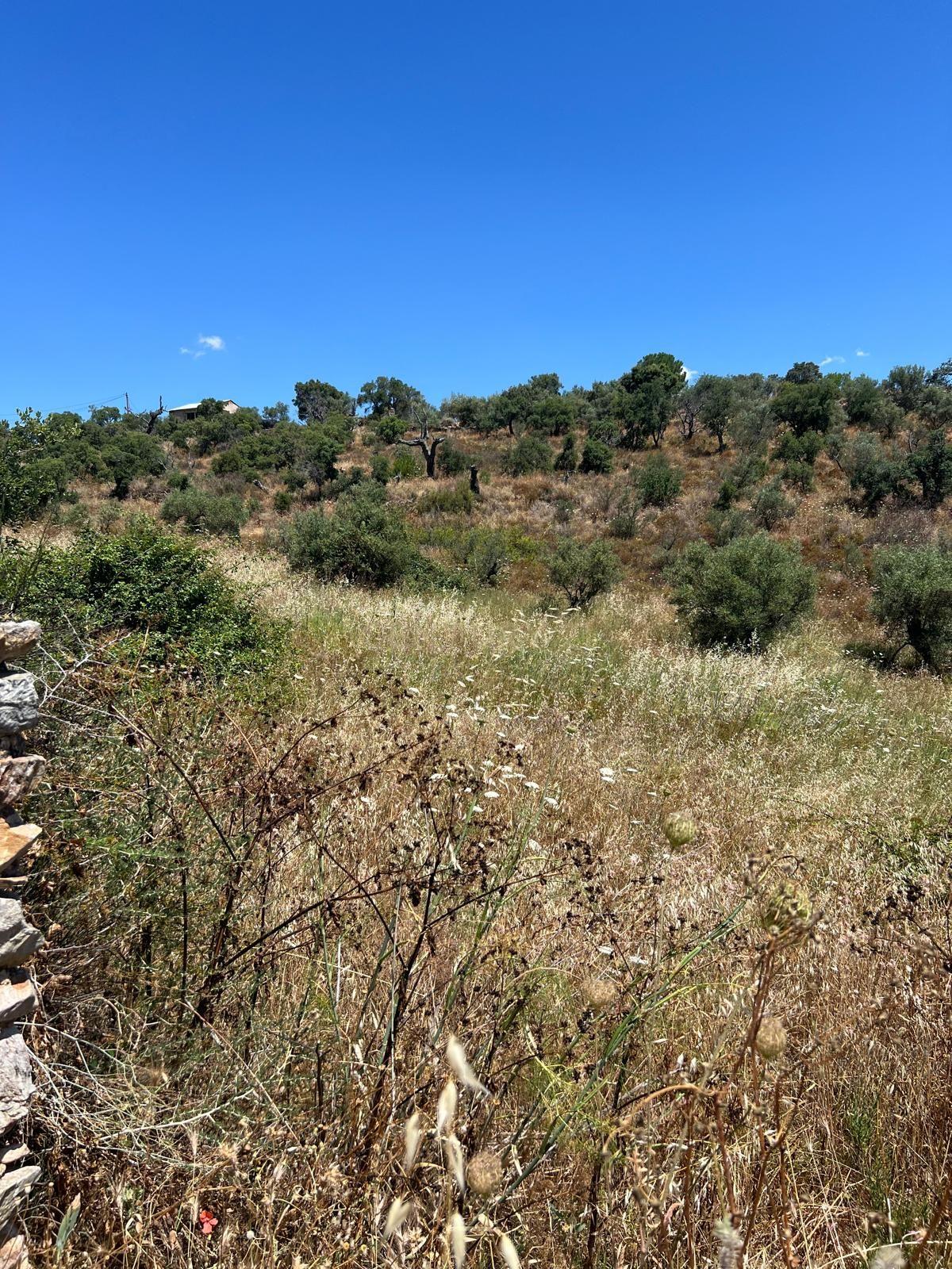 undefined - Image 6