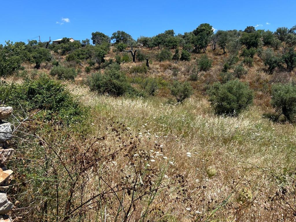 undefined - Image 6
