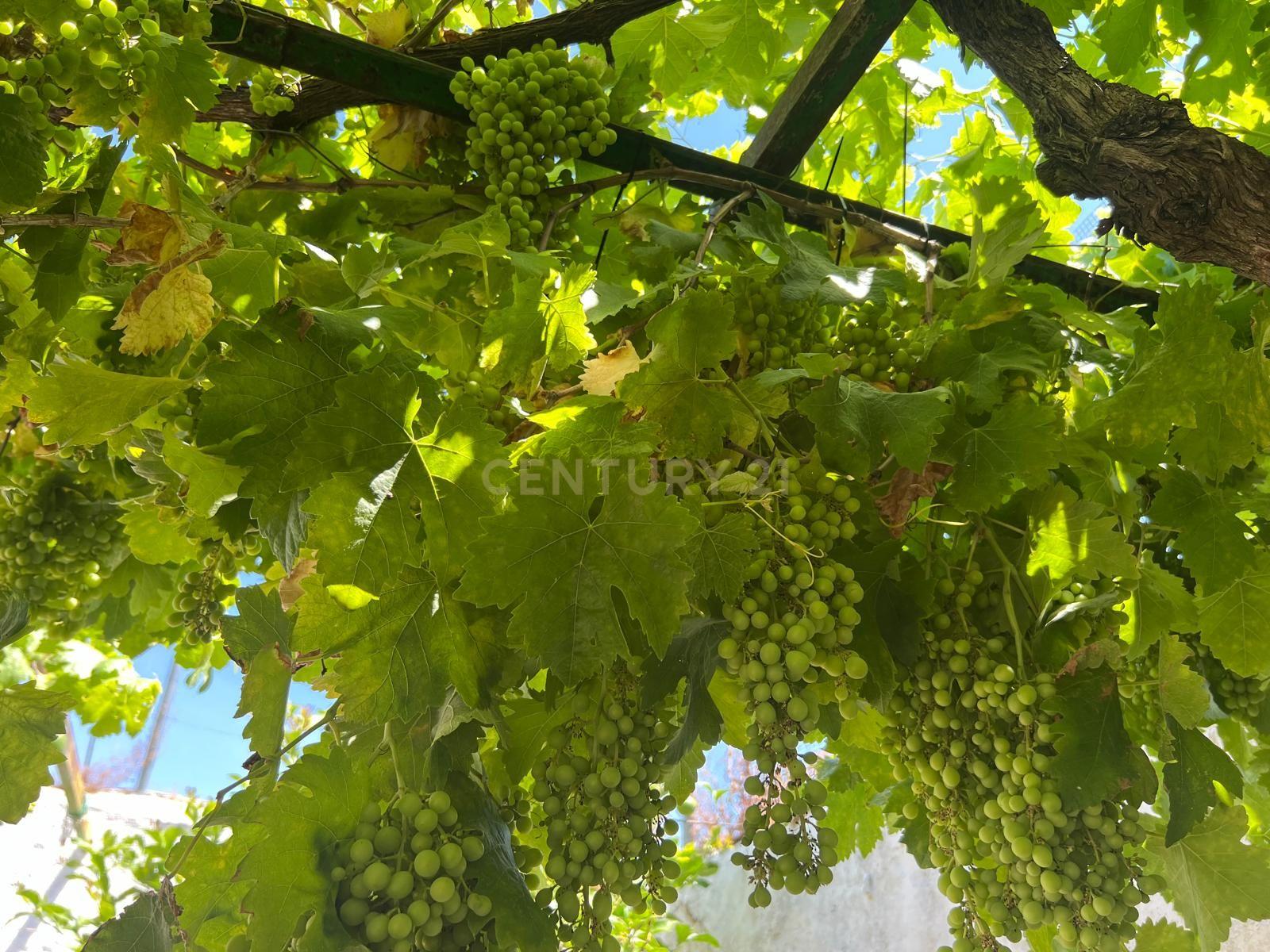 undefined - Image 3