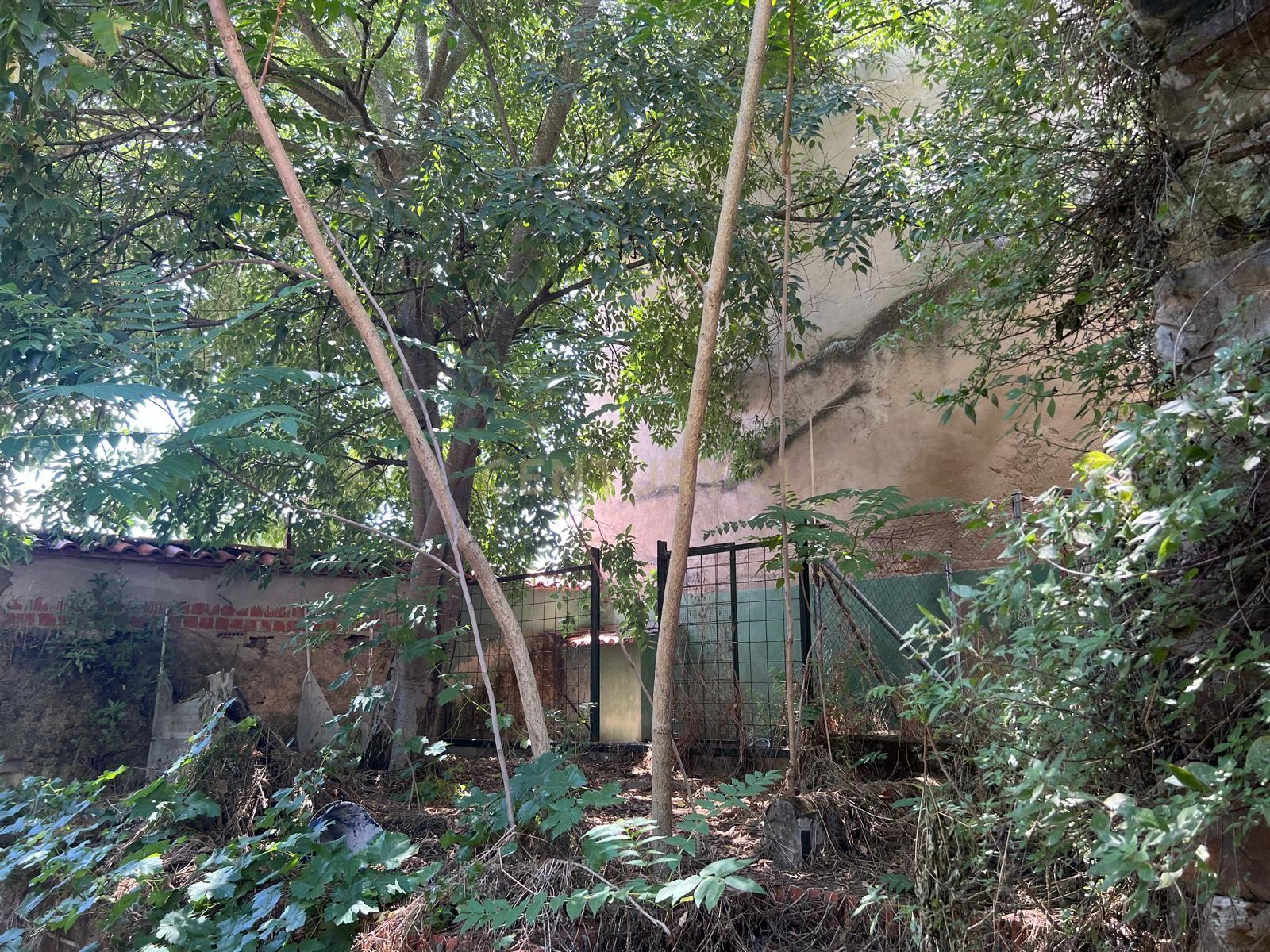 undefined - Image 4