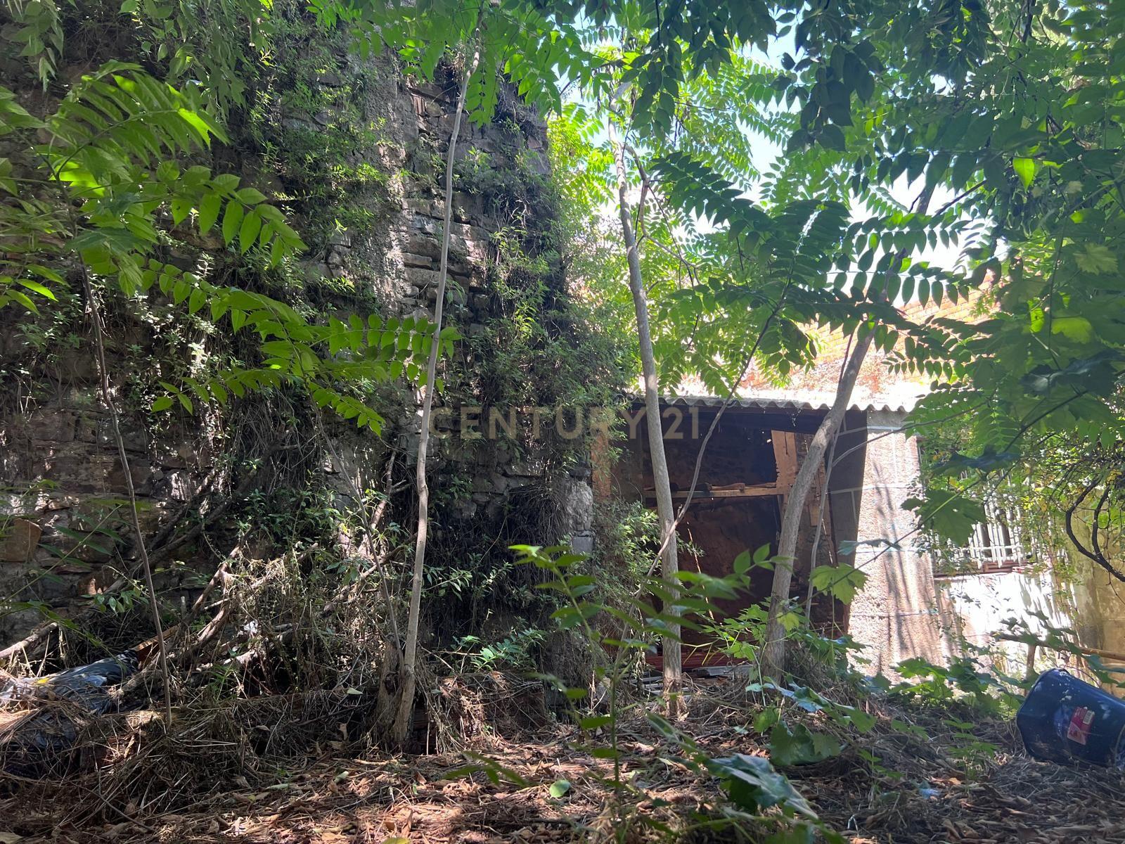 undefined - Image 7