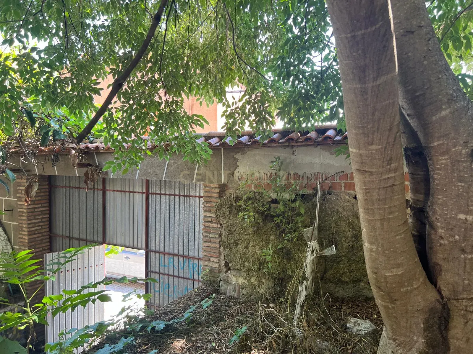 undefined - Image 8