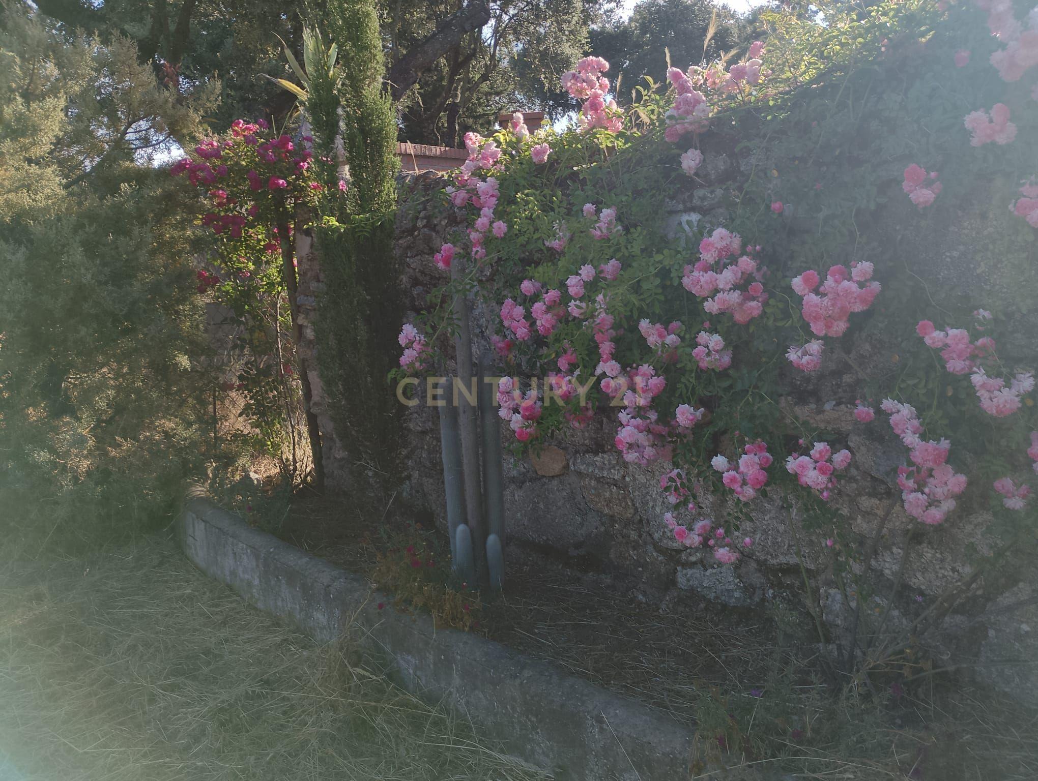 undefined - Image 34