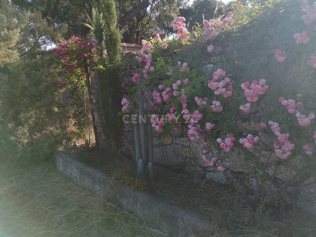 undefined - Image 34