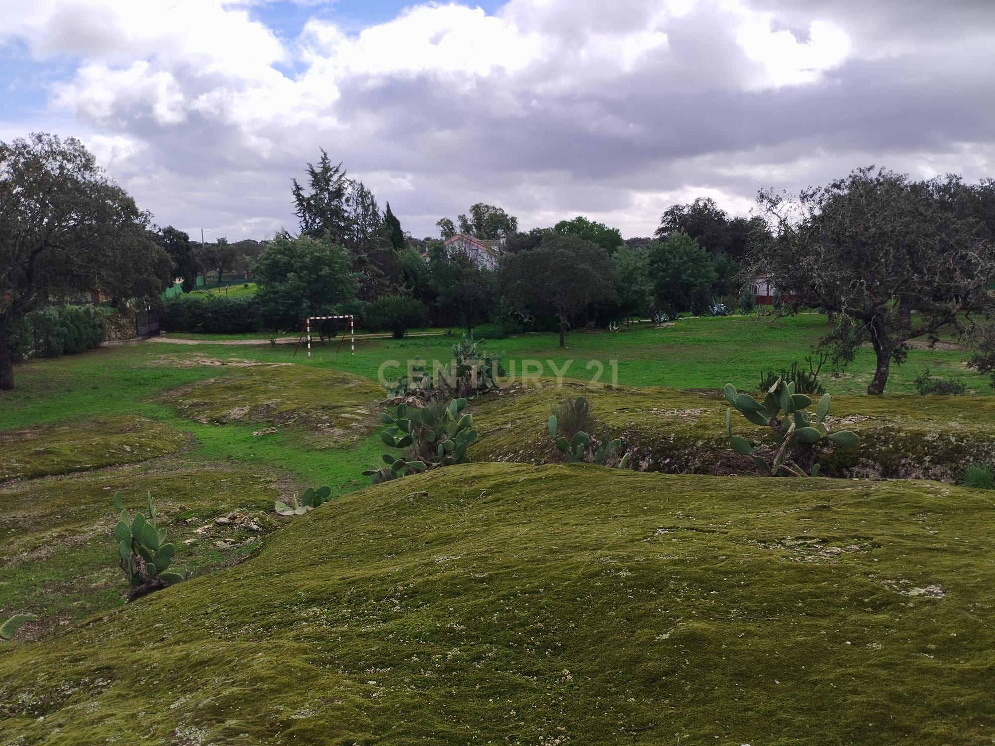 undefined - Image 61