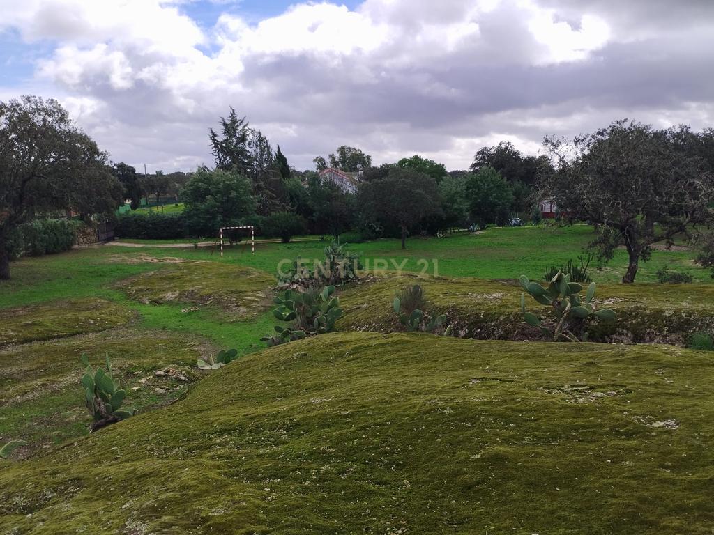 undefined - Image 61