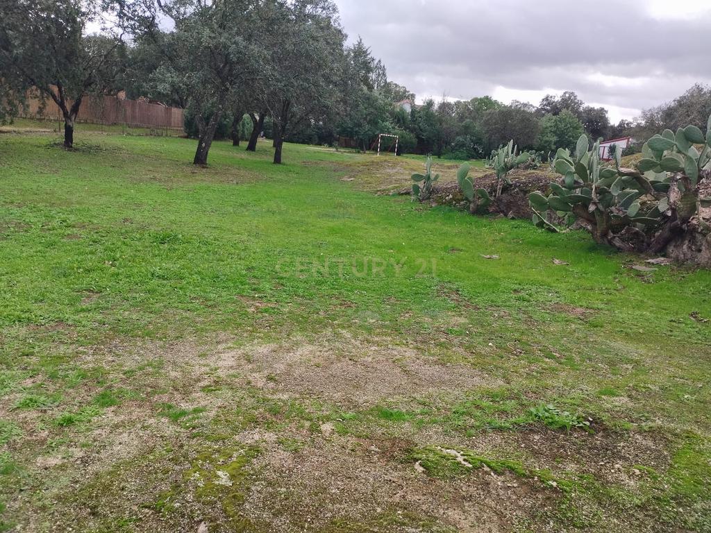 undefined - Image 95
