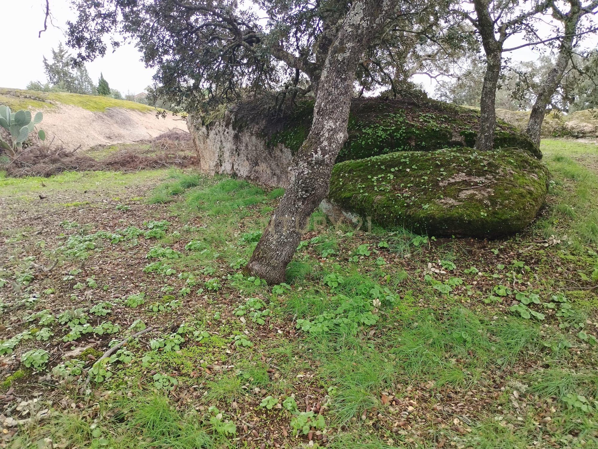 undefined - Image 70
