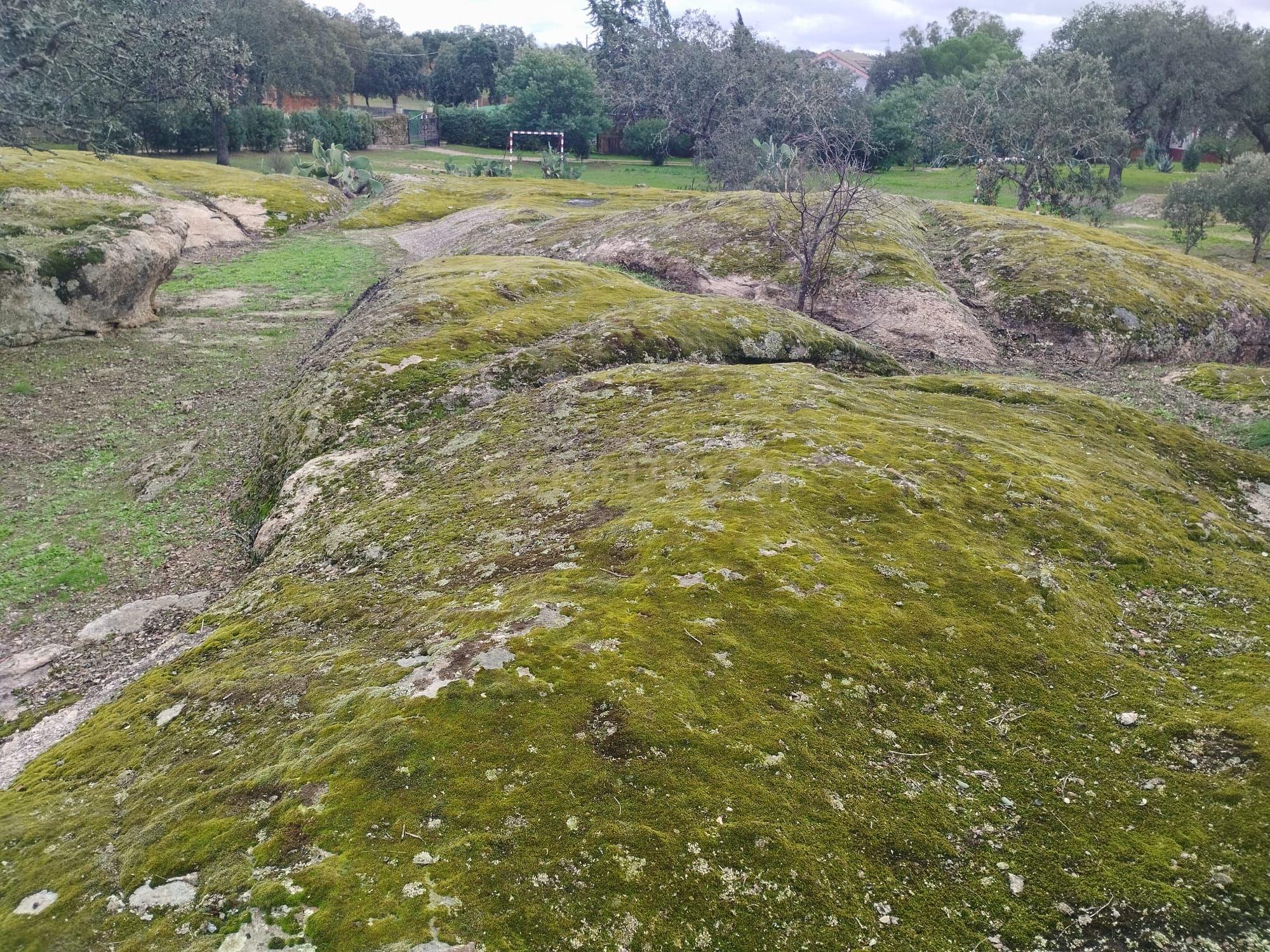 undefined - Image 62
