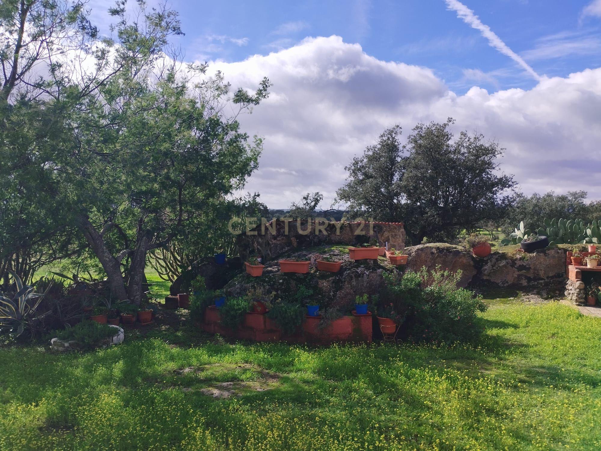 undefined - Image 67