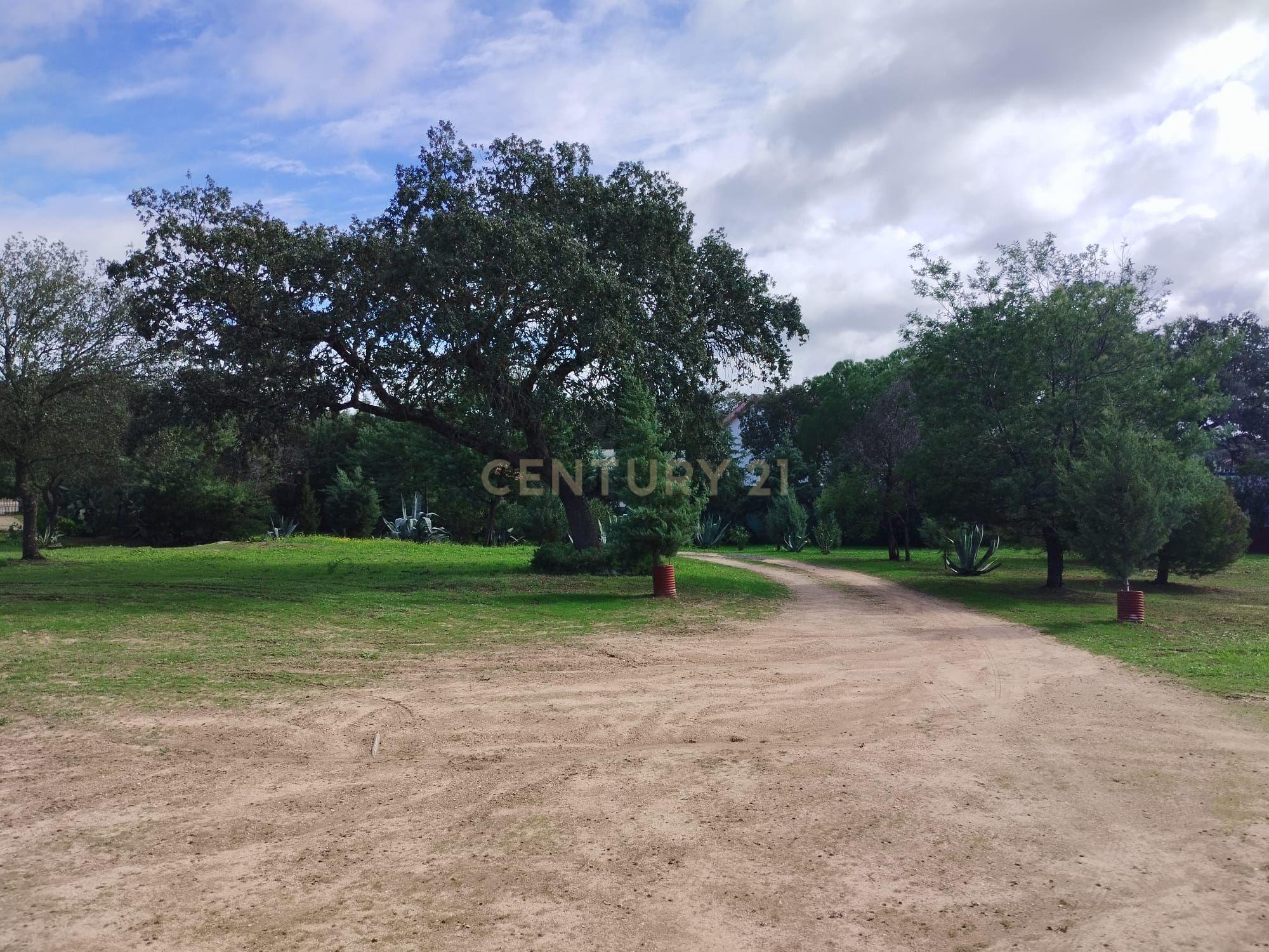 undefined - Image 75