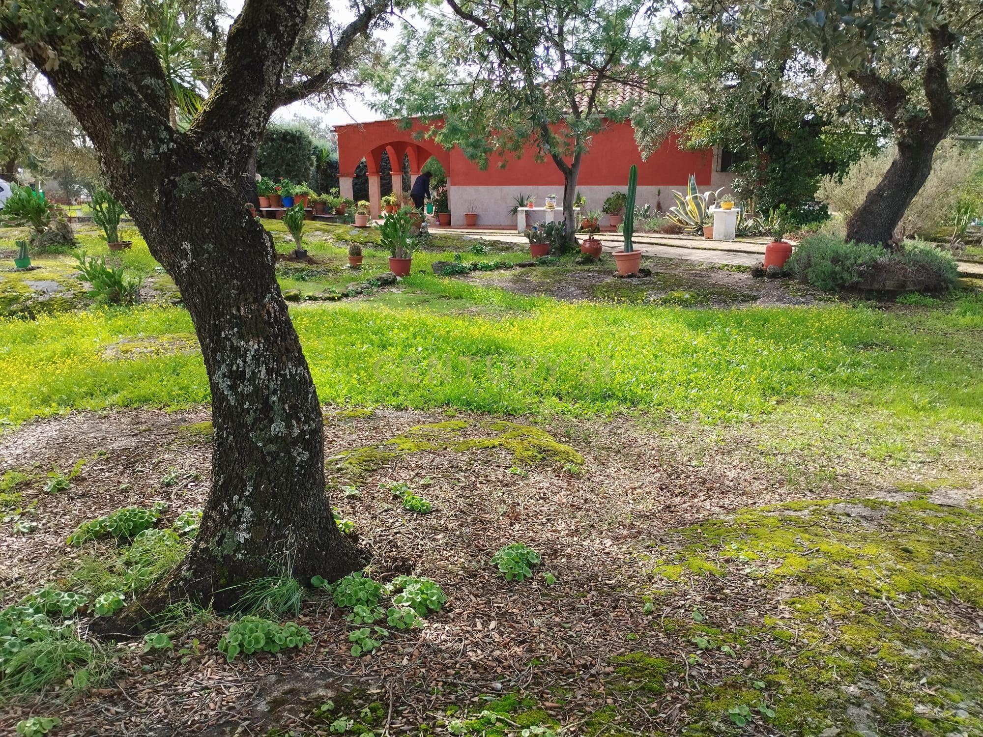undefined - Image 78
