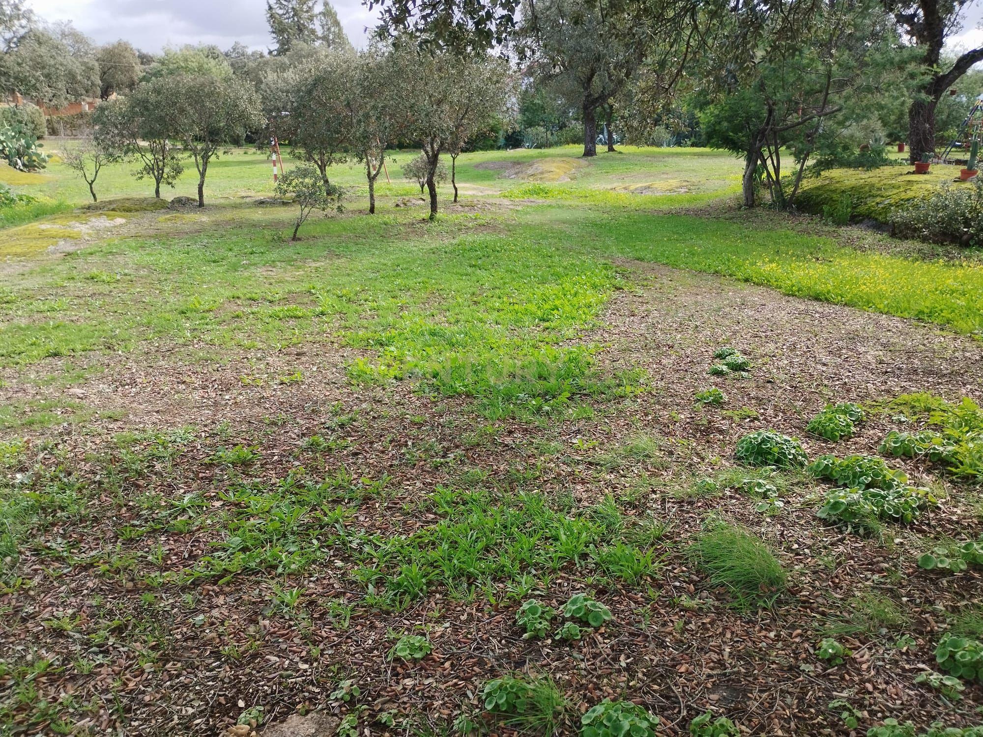 undefined - Image 69