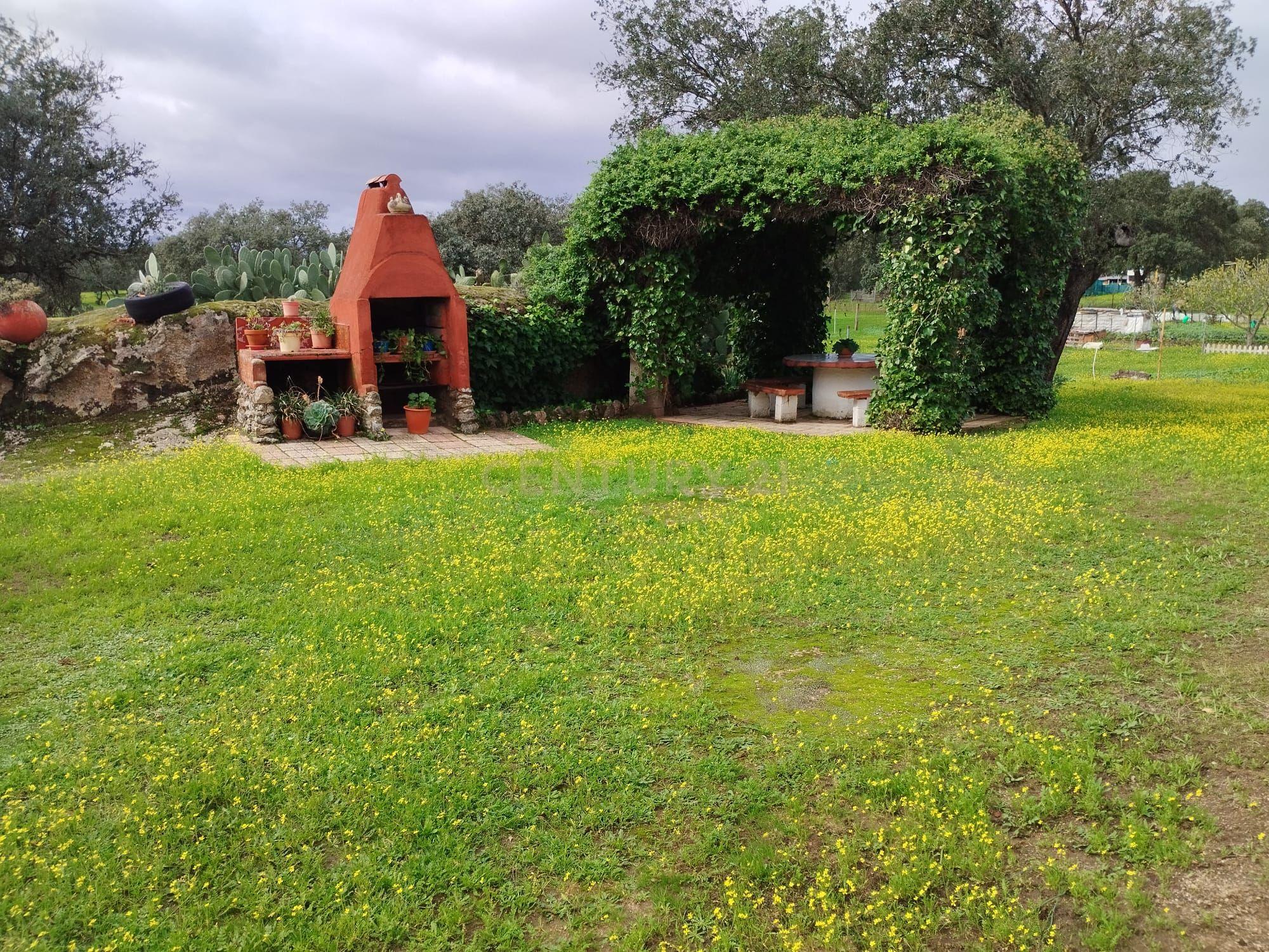 undefined - Image 33