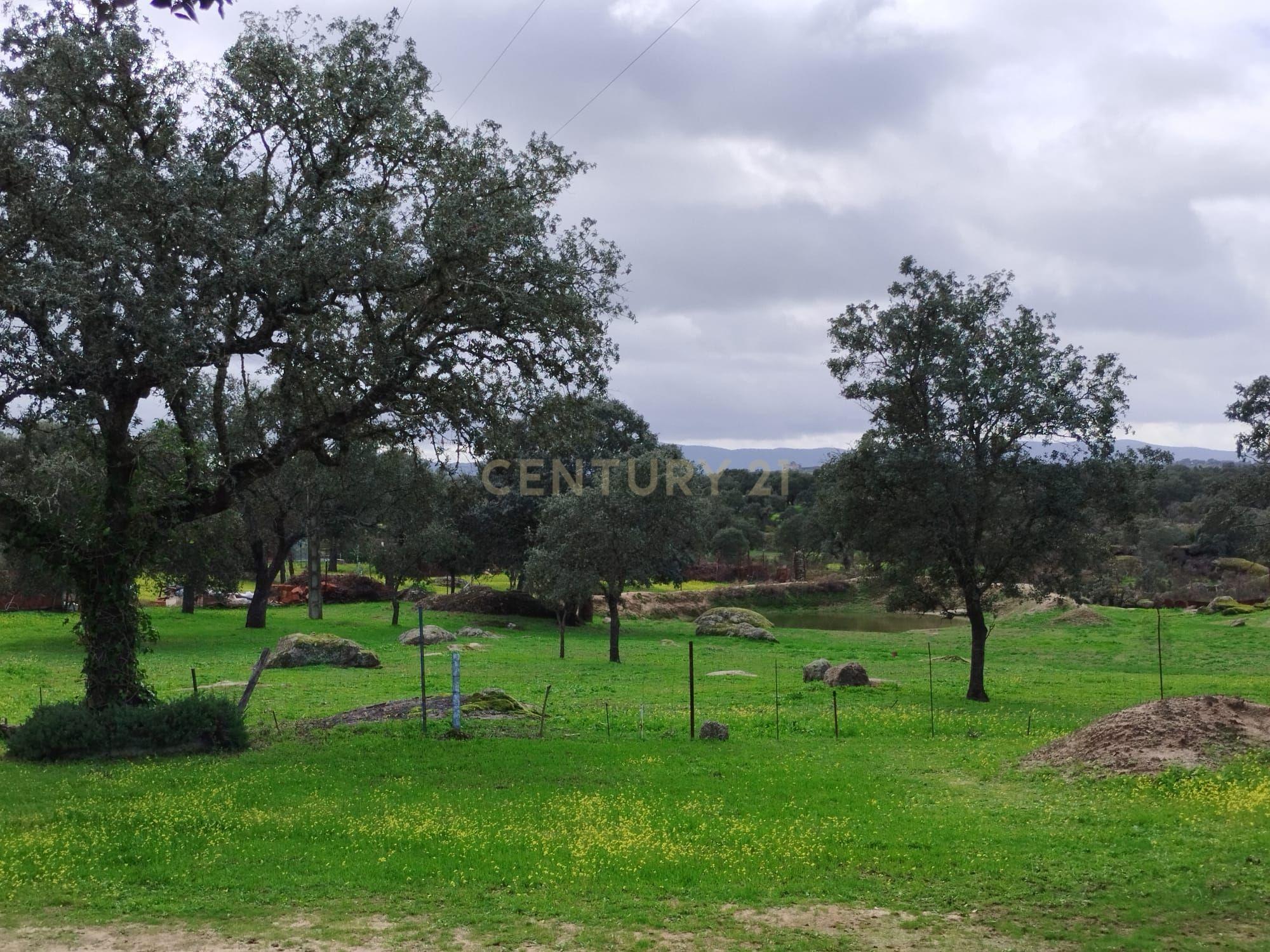 undefined - Image 77