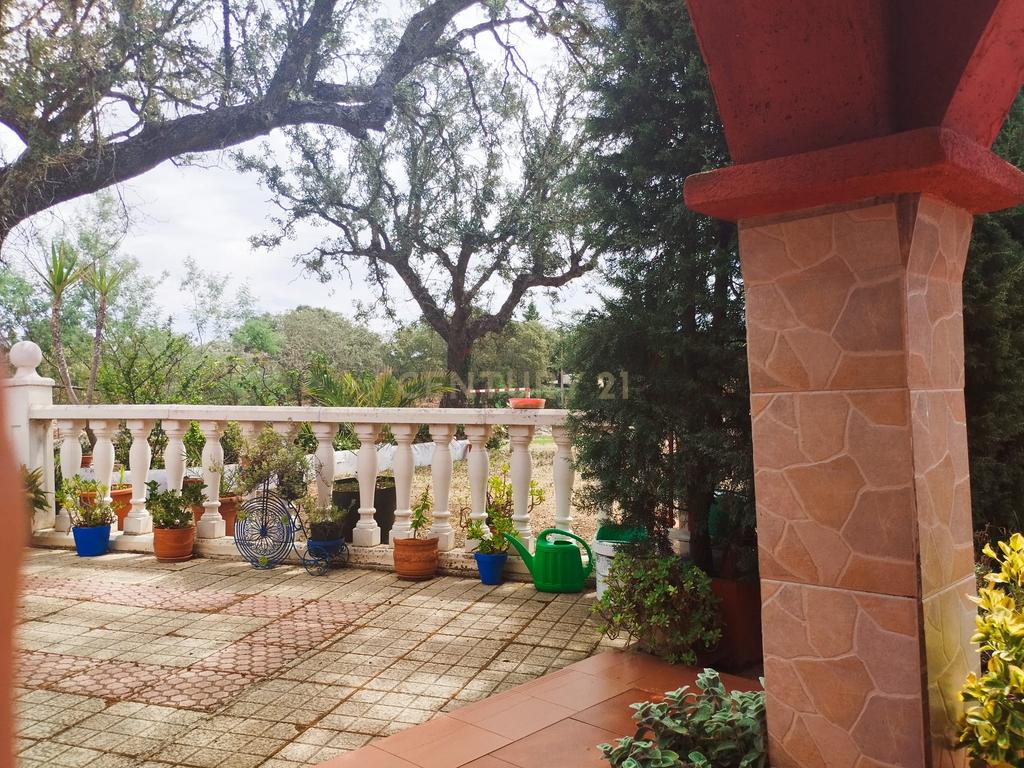 undefined - Image 49
