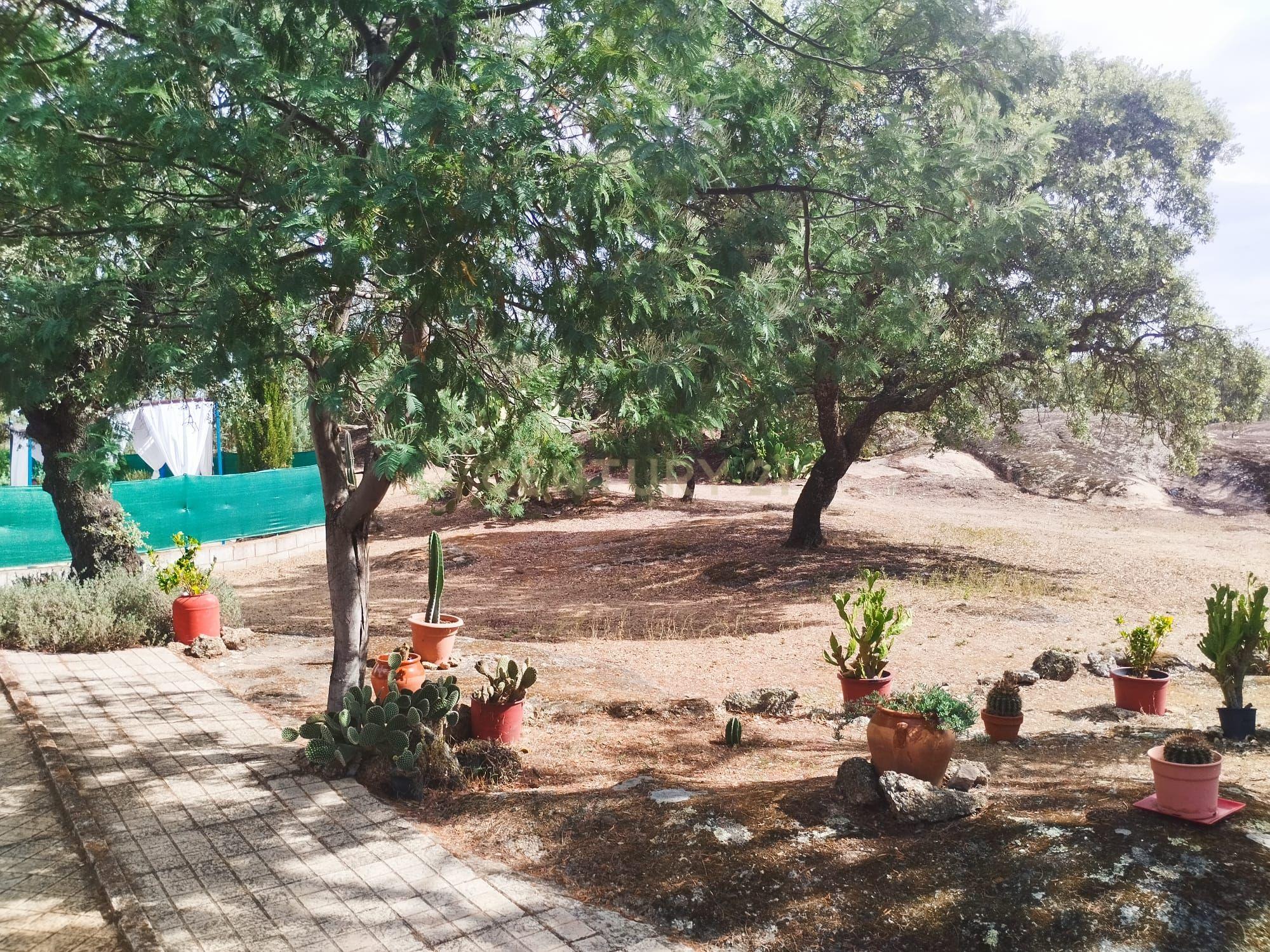 undefined - Image 46
