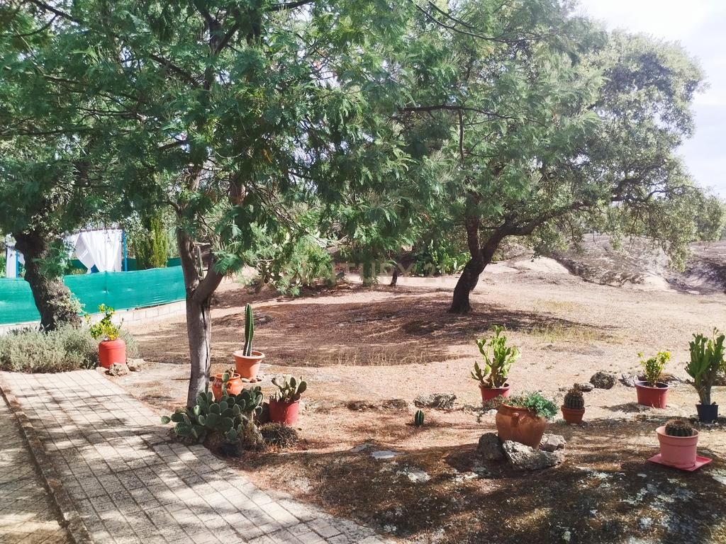 undefined - Image 46