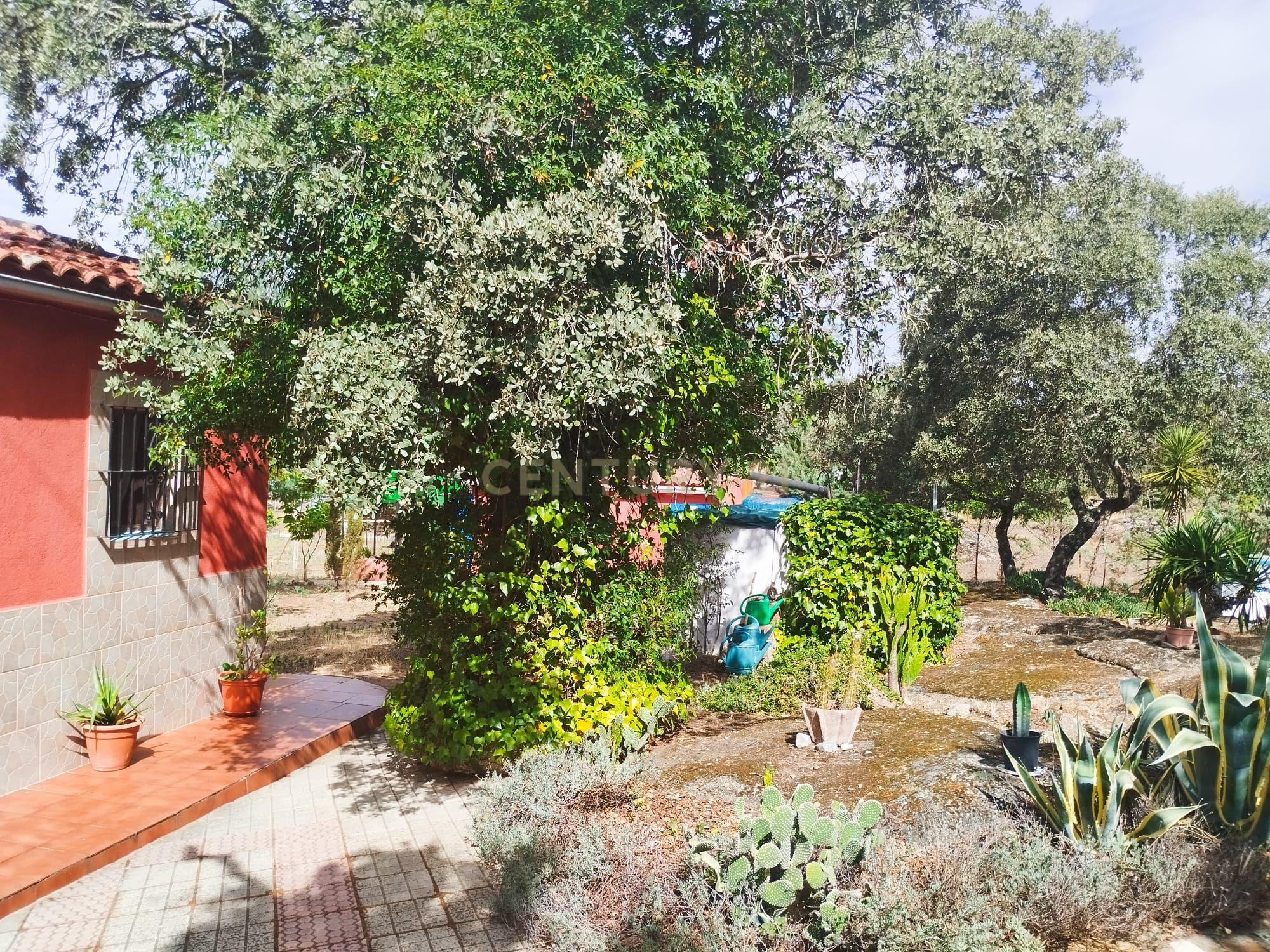 undefined - Image 47