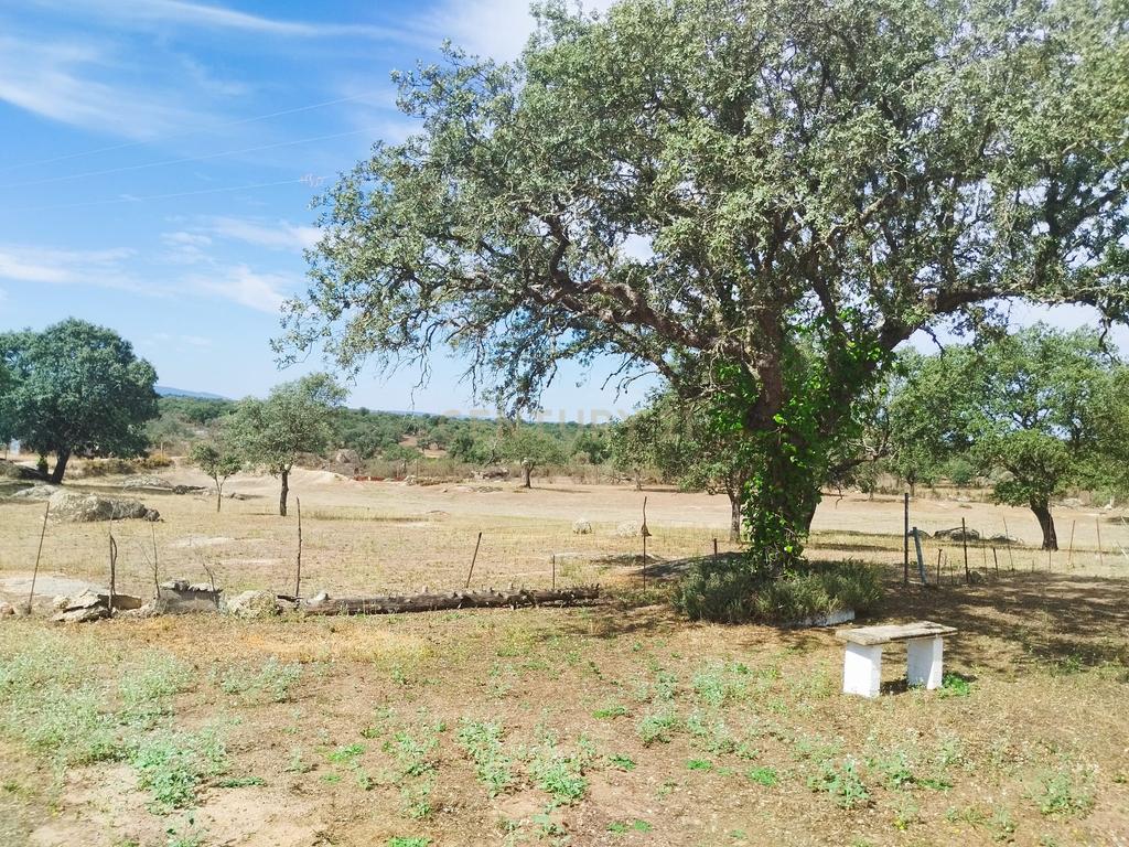 undefined - Image 84