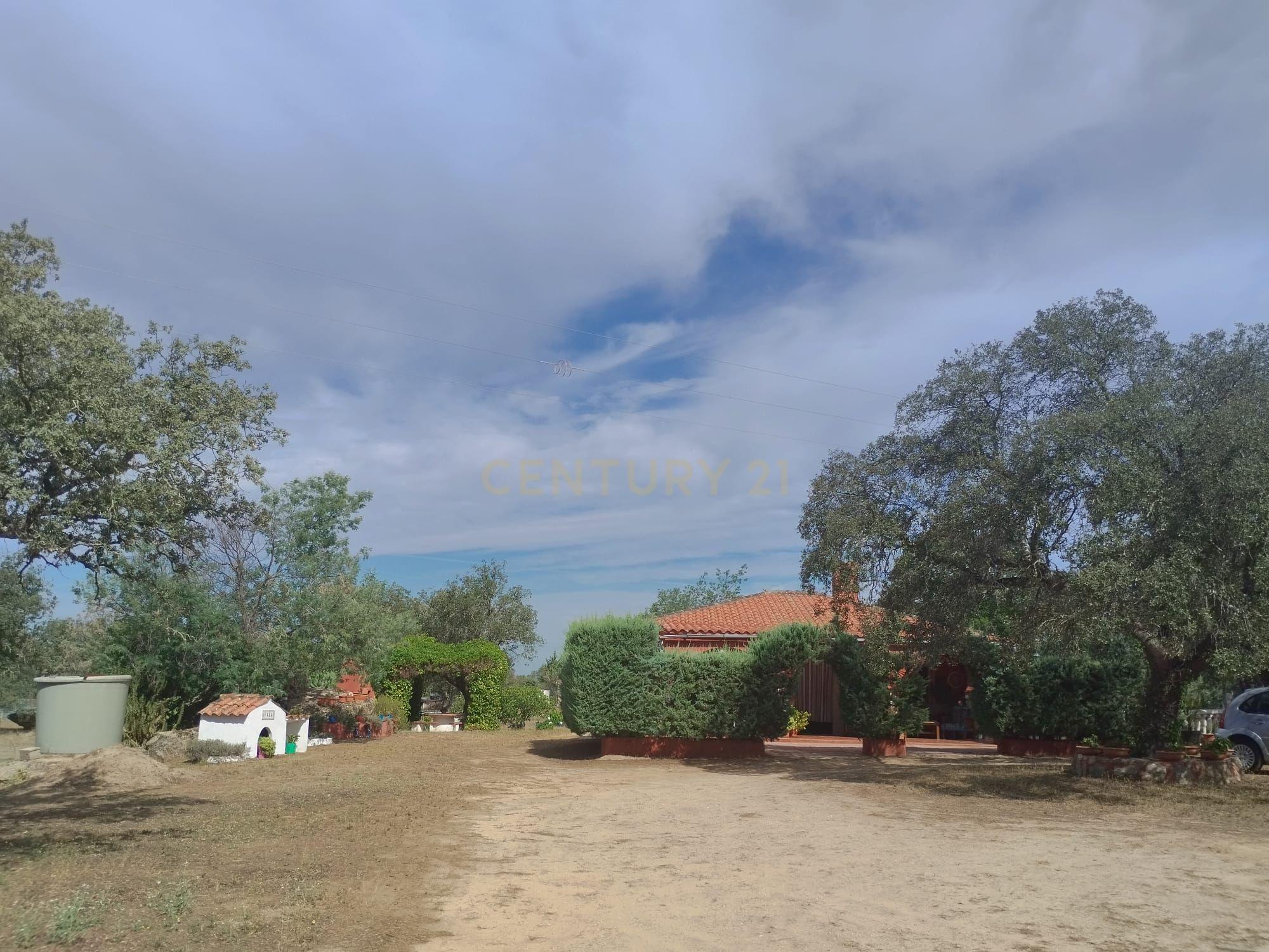undefined - Image 88