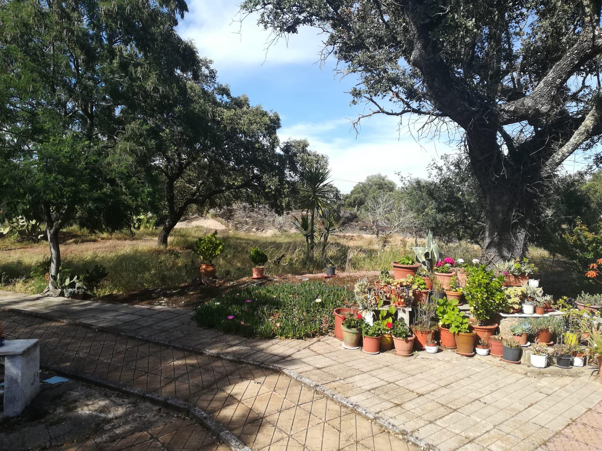 undefined - Image 52