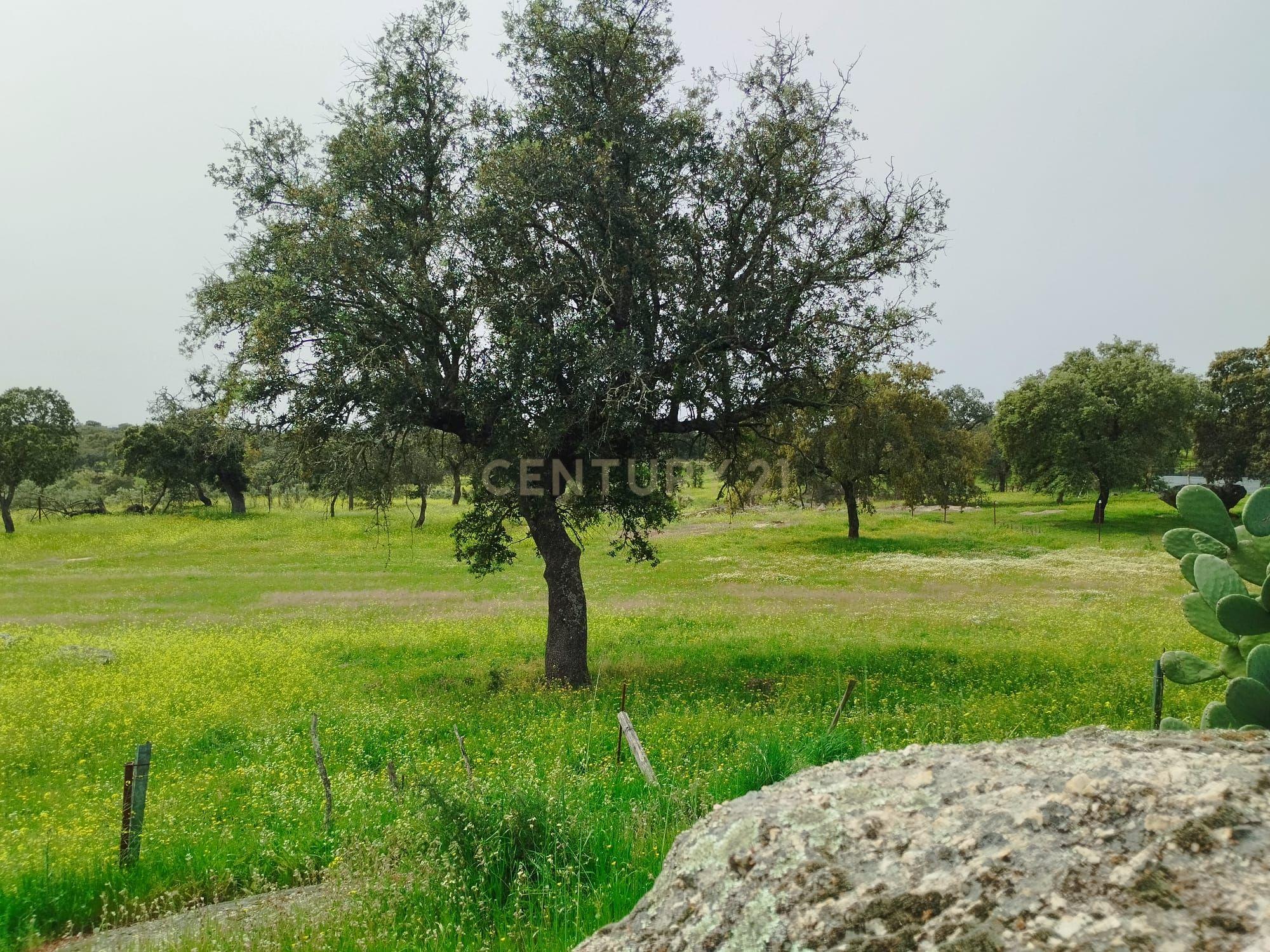 undefined - Image 90