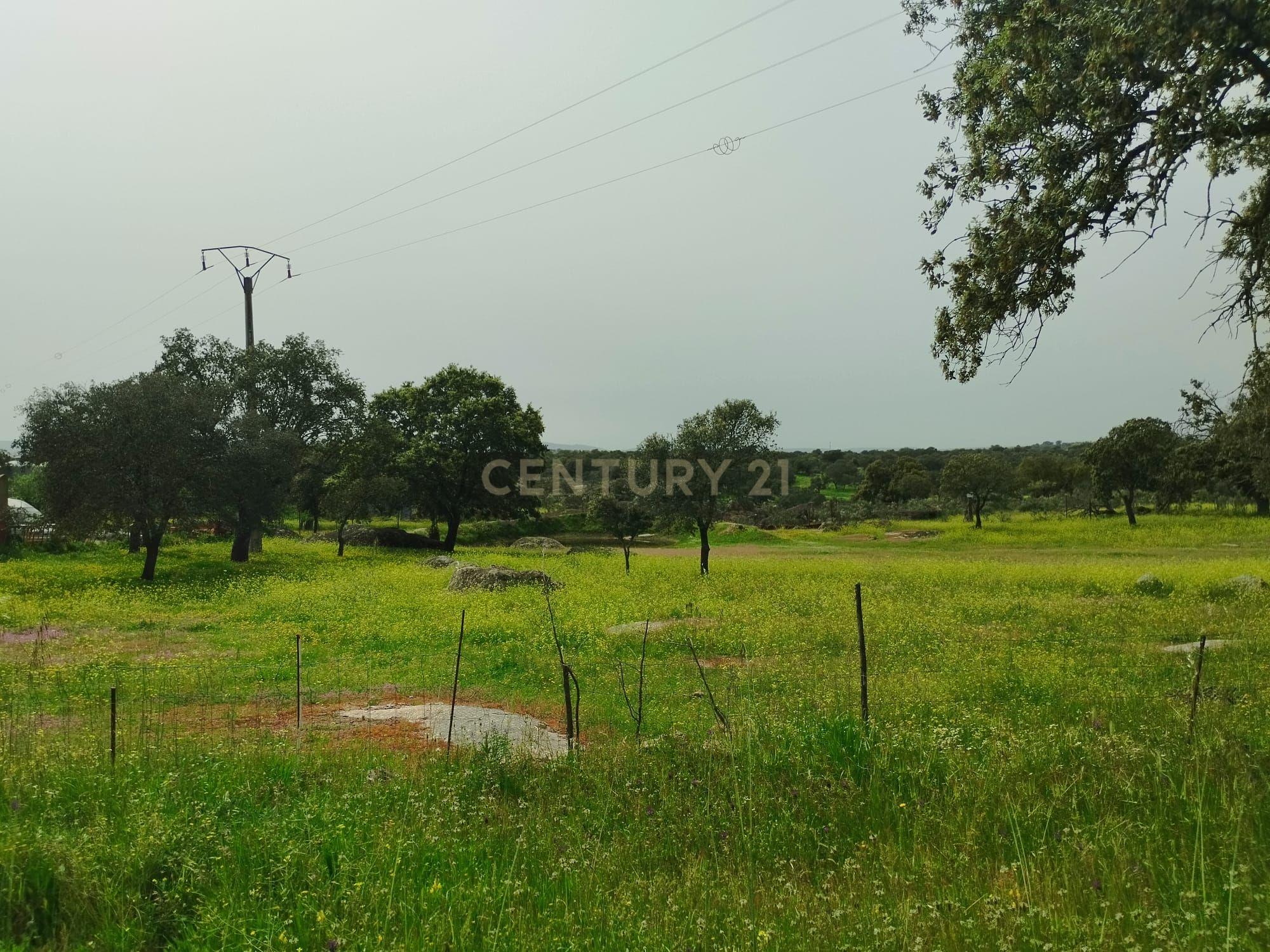 undefined - Image 85