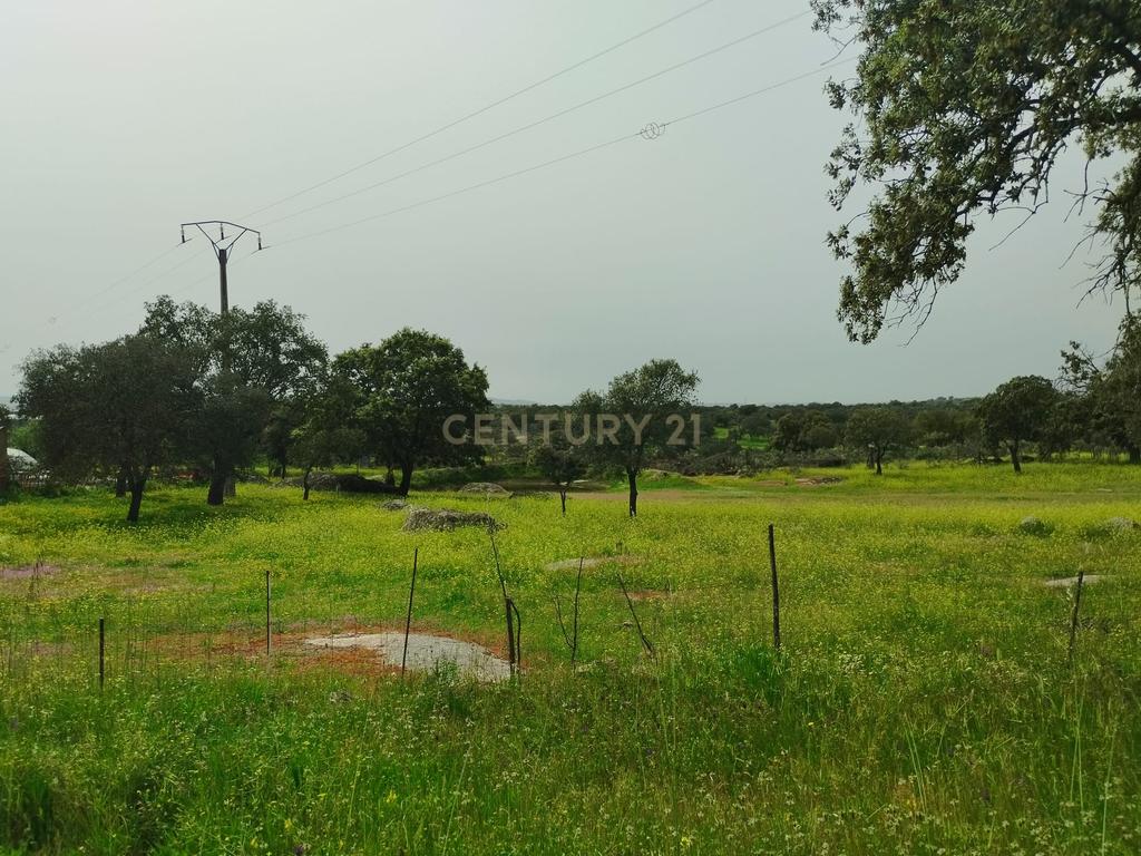 undefined - Image 85