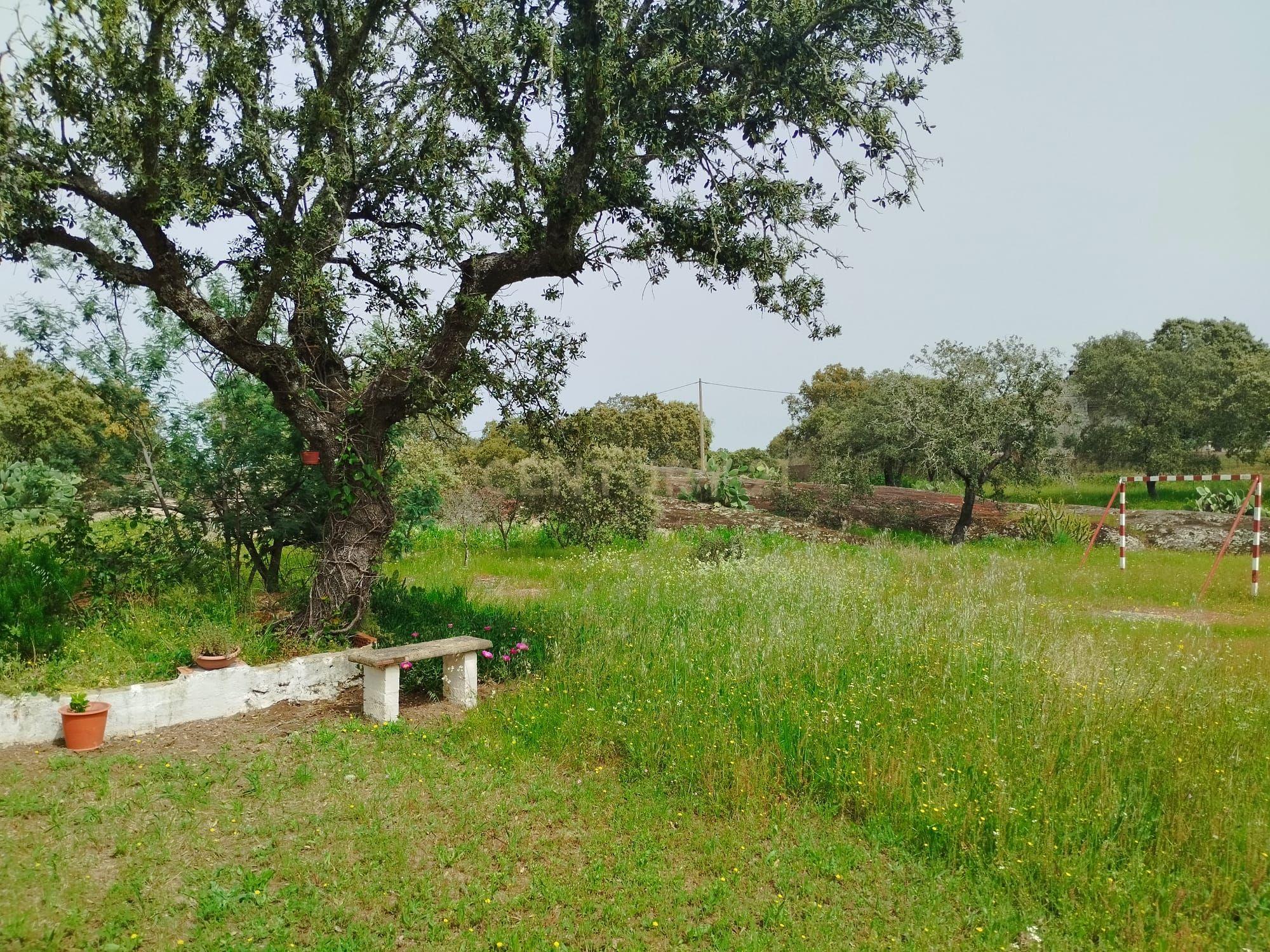 undefined - Image 86