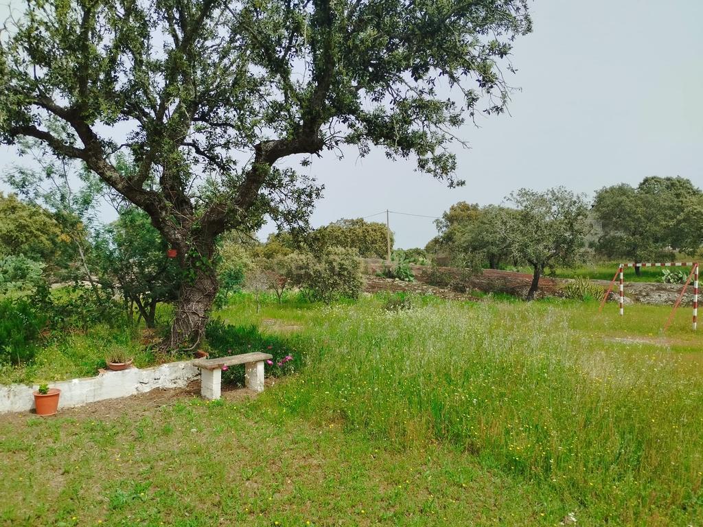 undefined - Image 86