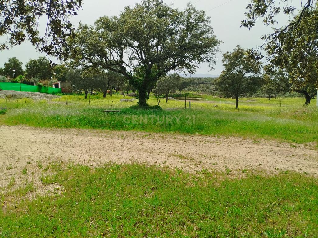 undefined - Image 94