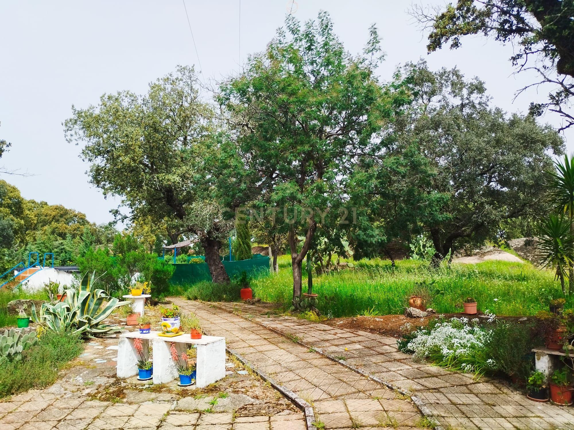 undefined - Image 53