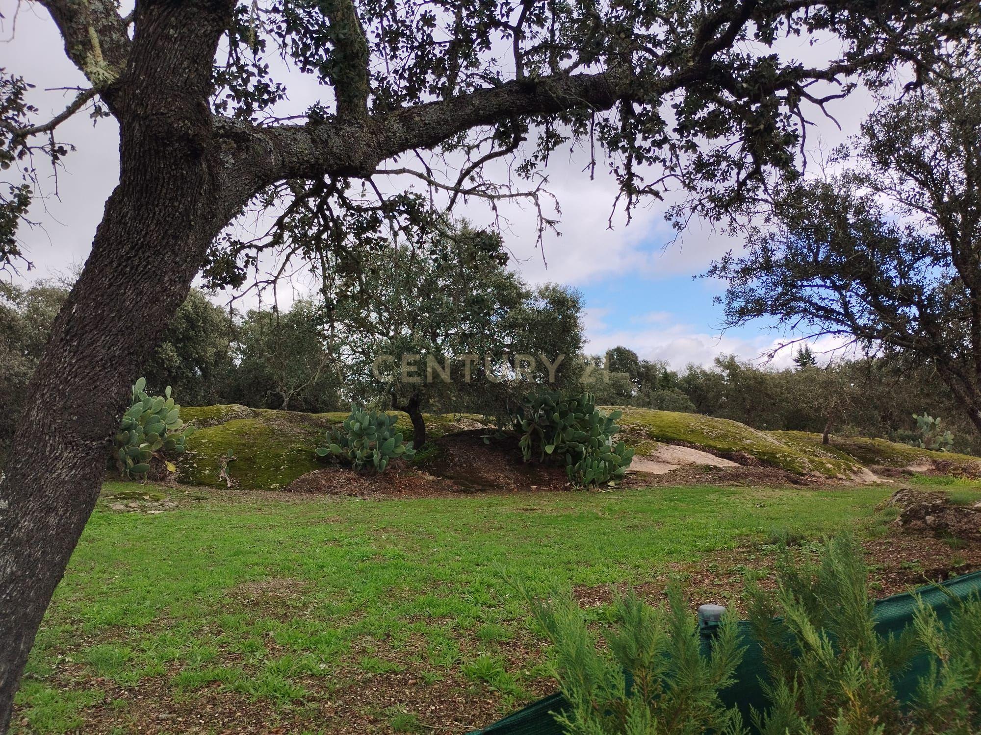 undefined - Image 101