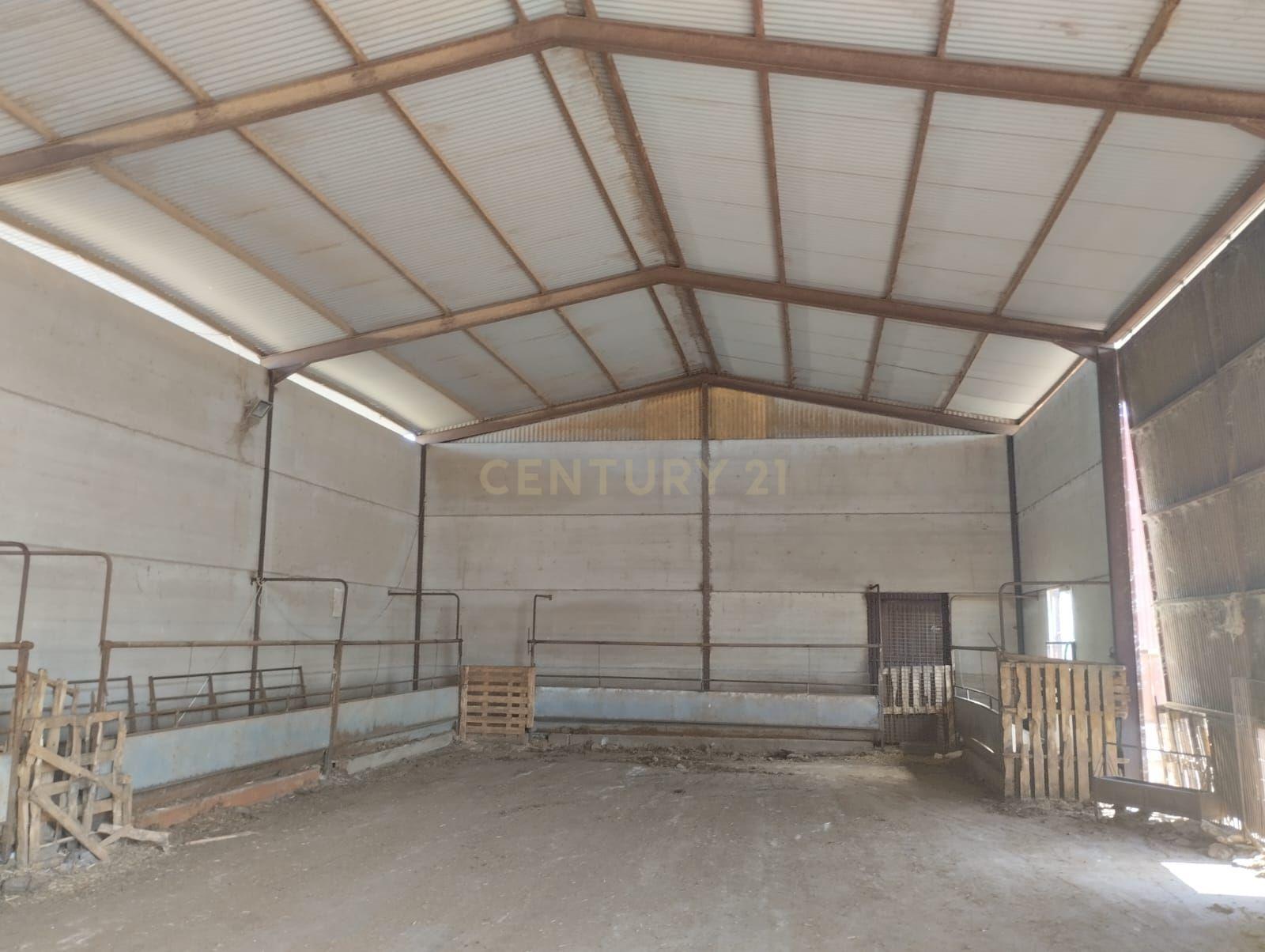 undefined - Image 13