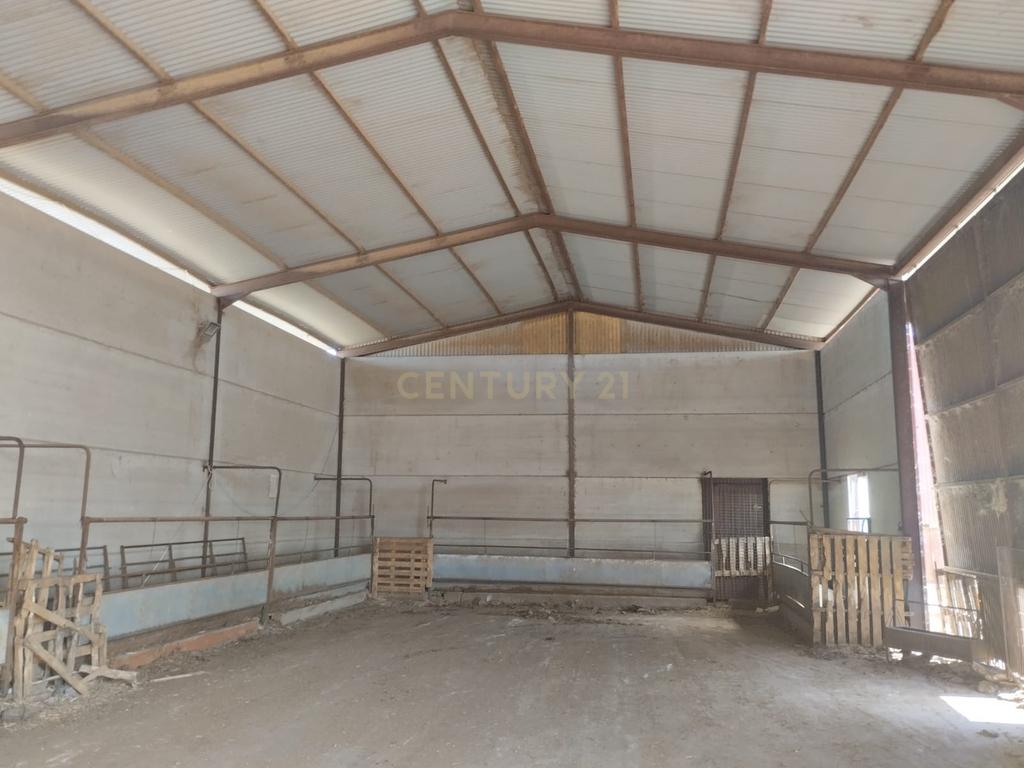 undefined - Image 13