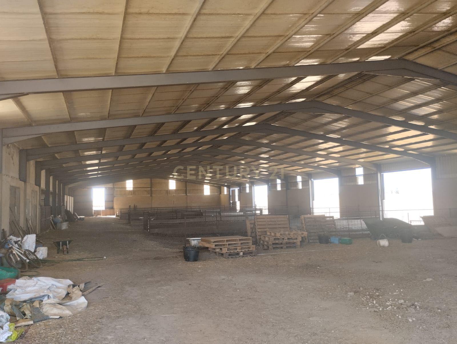 undefined - Image 14