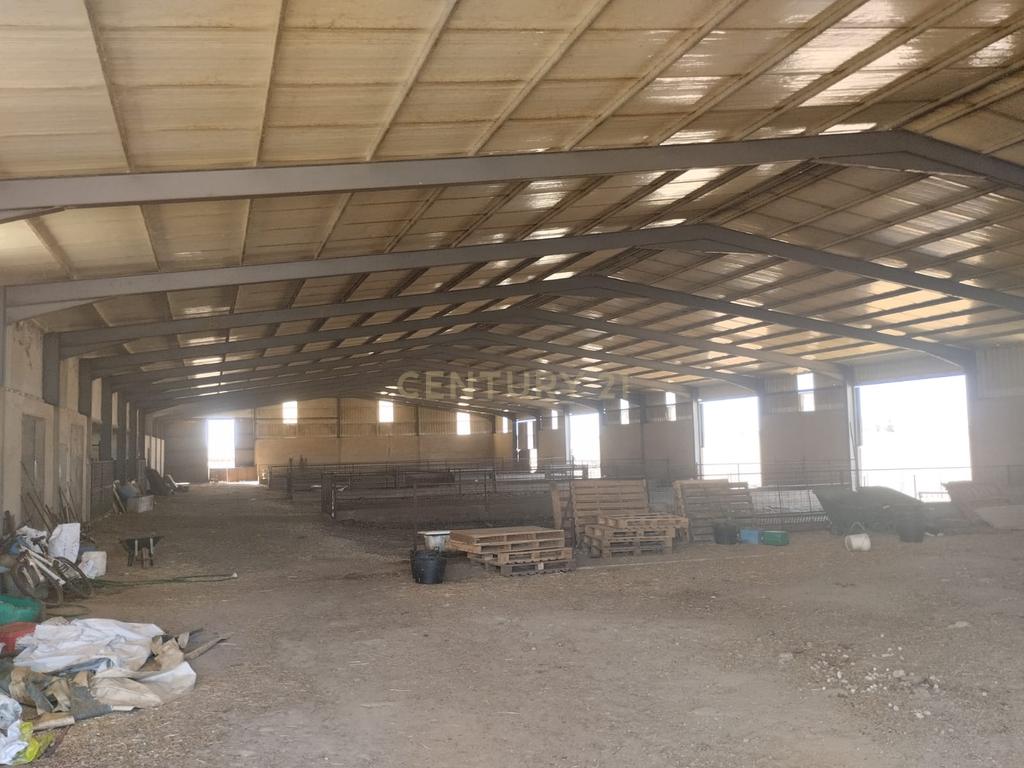 undefined - Image 14