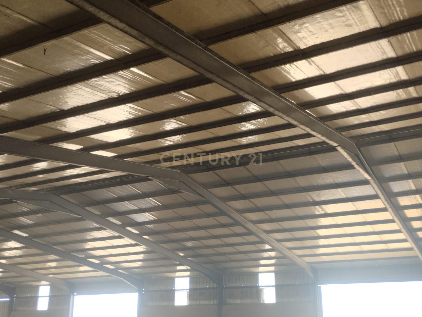 undefined - Image 15