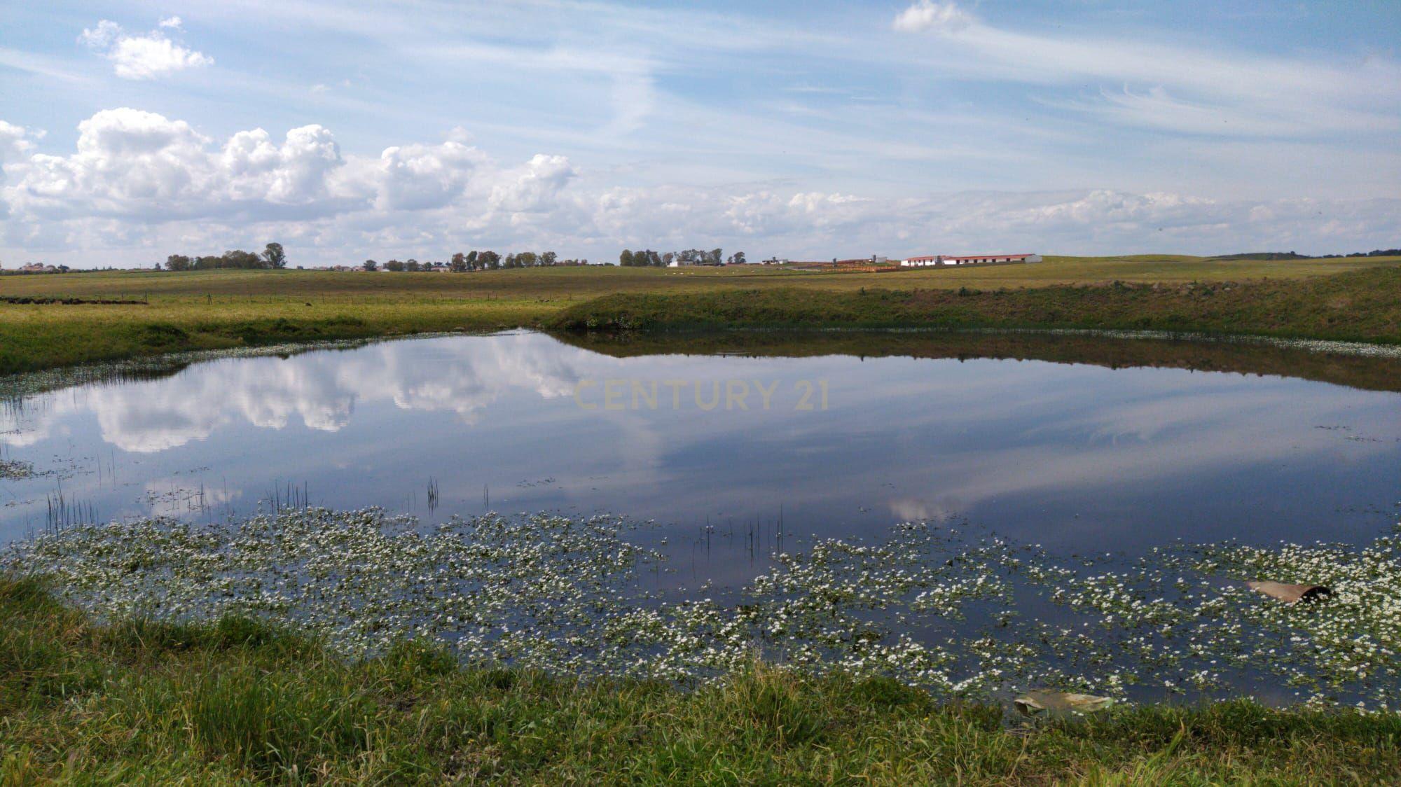 undefined - Image 7