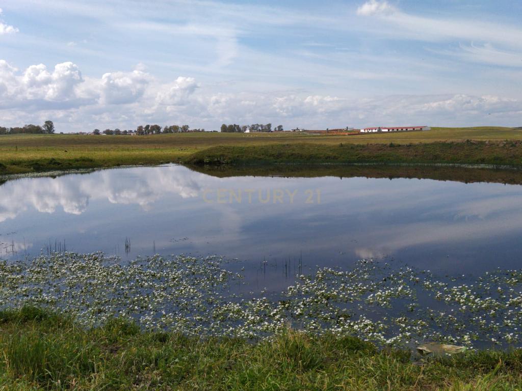 undefined - Image 7