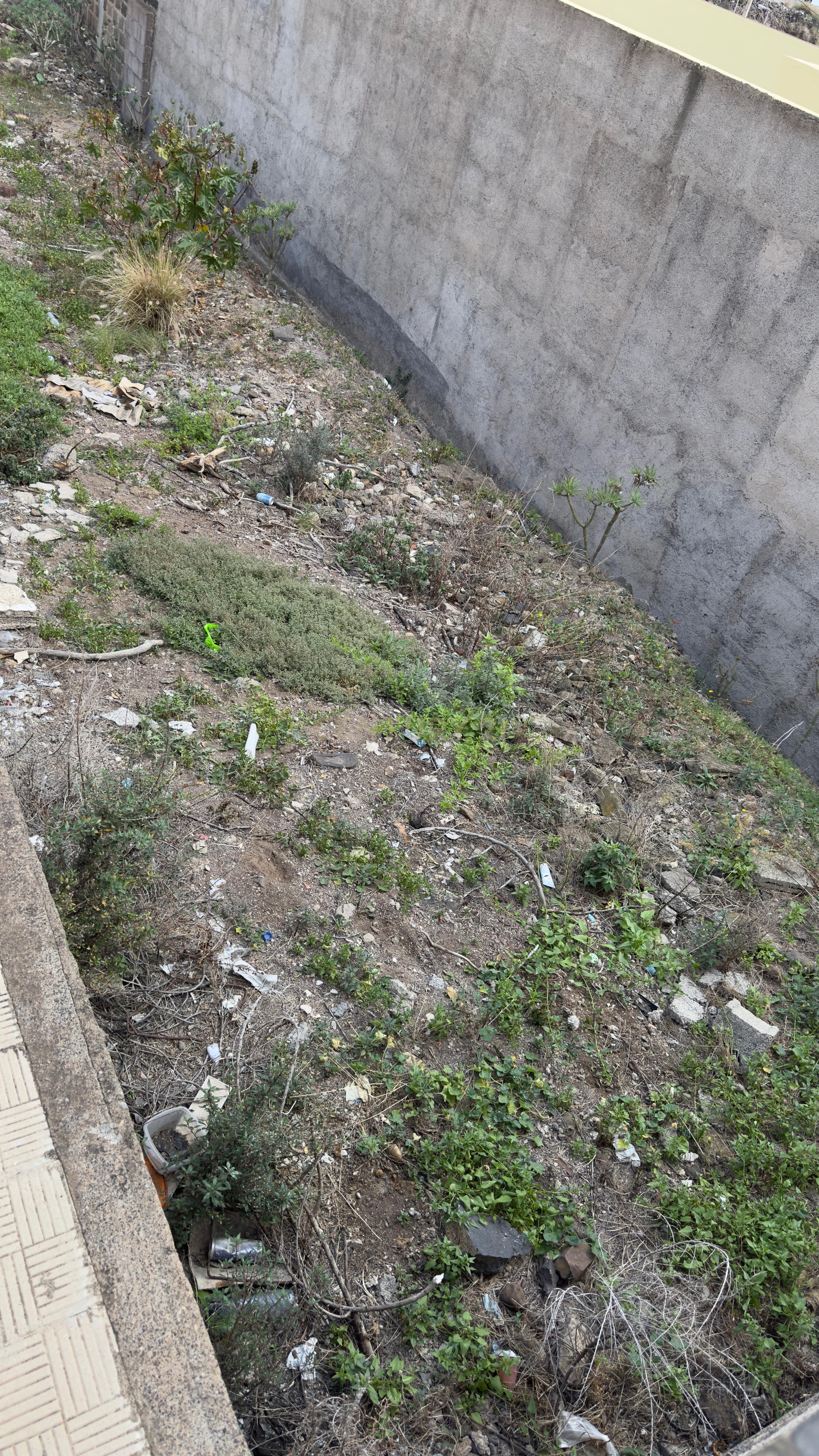 Terreno - Image 5